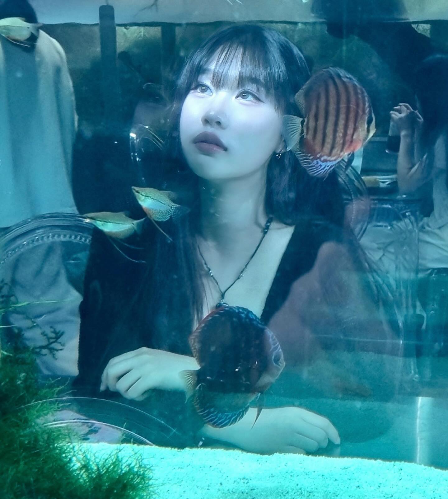 🐡복엉🐡