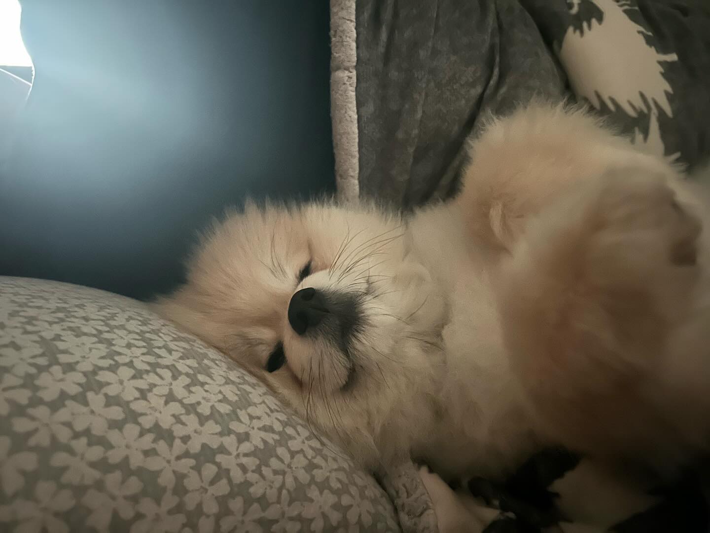 자기, 일어났어? 😚