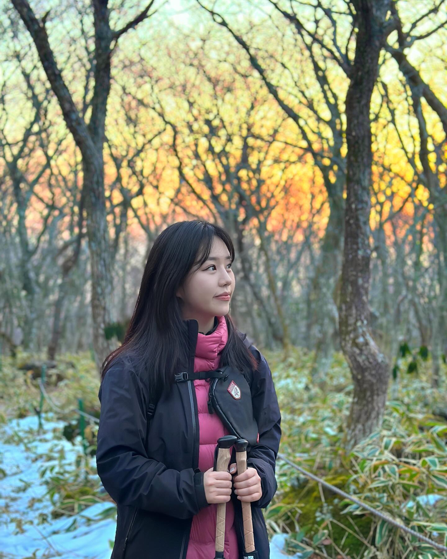 눈보라 치다가도 조금만 내려가면 바로 푸릇푸릇한 한라산 🌲🌲 벌써 또 가고 싶어 !!! 🤍