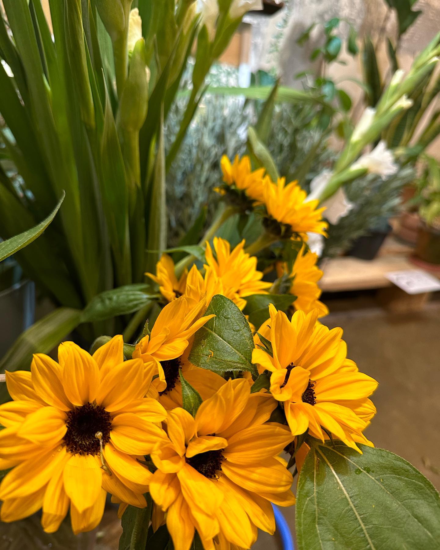 한섬 플리마켓도 재밌었고 #덕분에 #향기로운 #매일매일 🌼 #고마워요💕 

studio__baan
