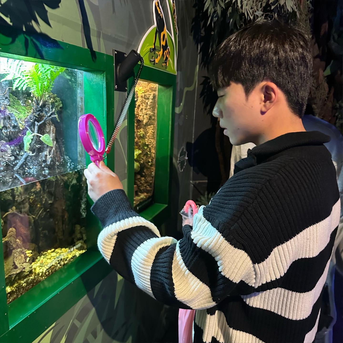 싸우지말자아 젭R 🫶🏻🫶🏻