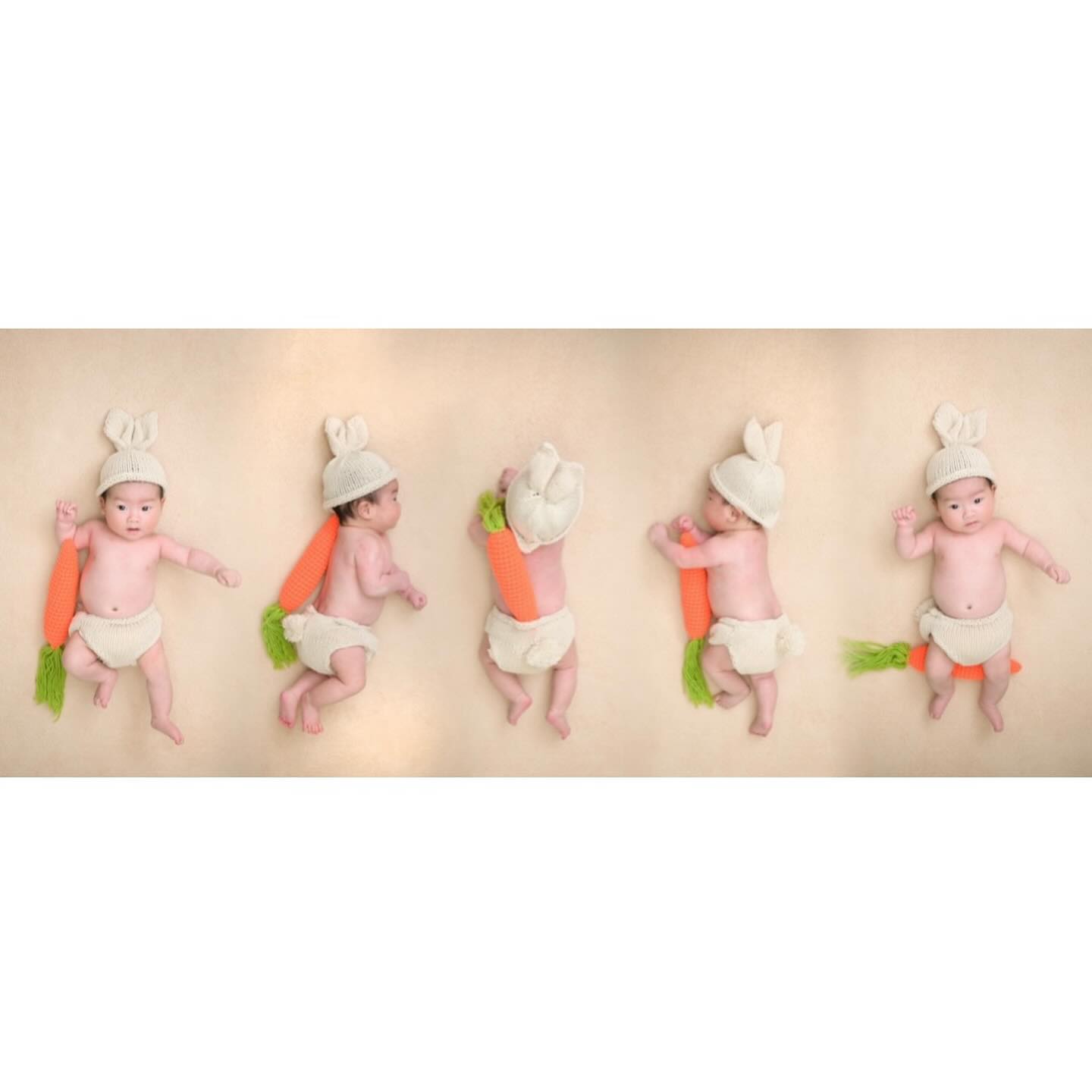 50𝕕𝕒𝕪𝕤 당근토끼, 채원🐰🥕