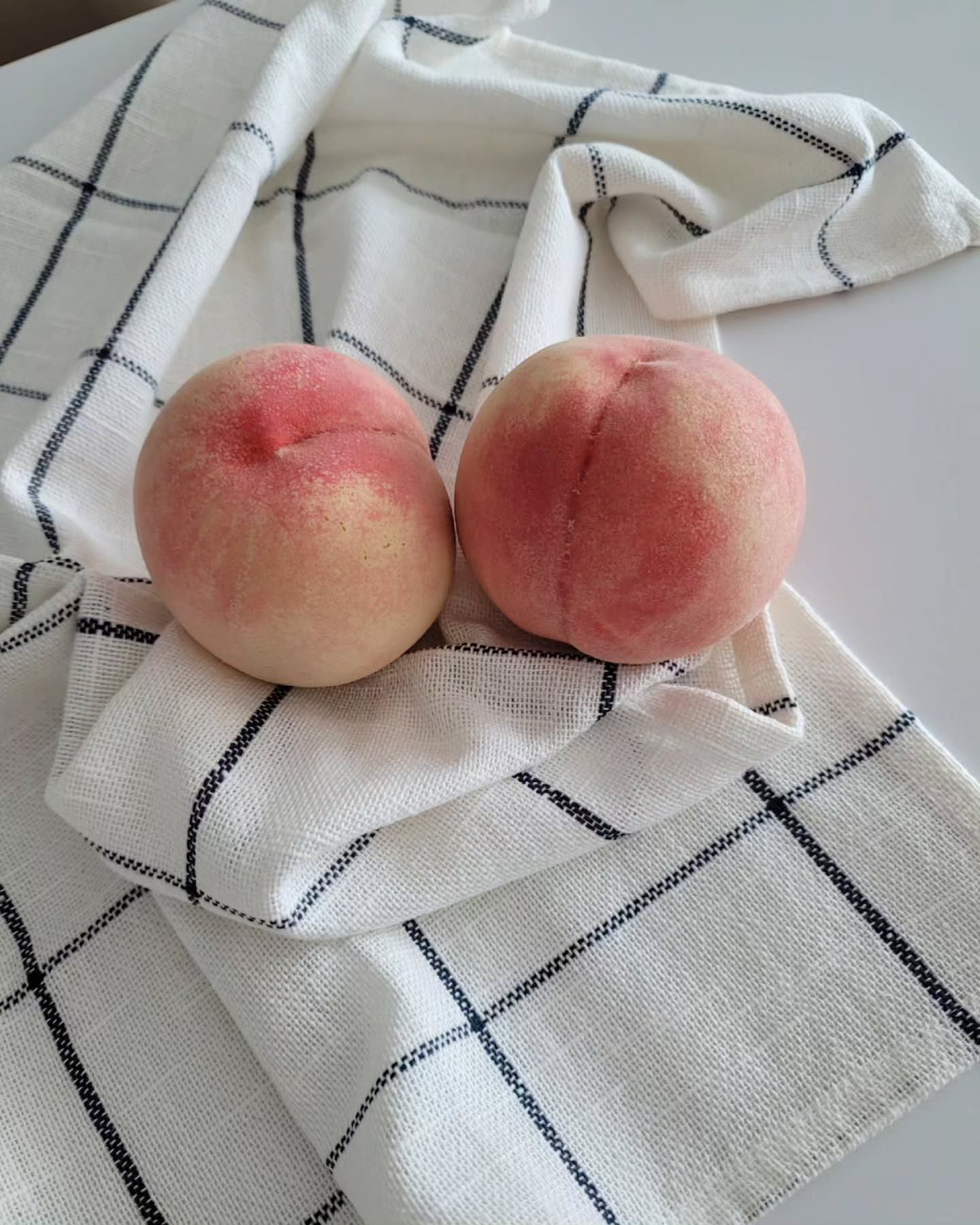 🍑
여름이 되면 항상 고모께서 
직접 재배한 복숭아를 보내주시는데
그 맛이 참 달디달고 달디달다 :) 

보내주신 복숭아를 다 먹고 나면
이 여름도 끝이구나 느껴지는 묘한 아쉬움 

#복숭아
#여름최애간식
#벌써가을이네