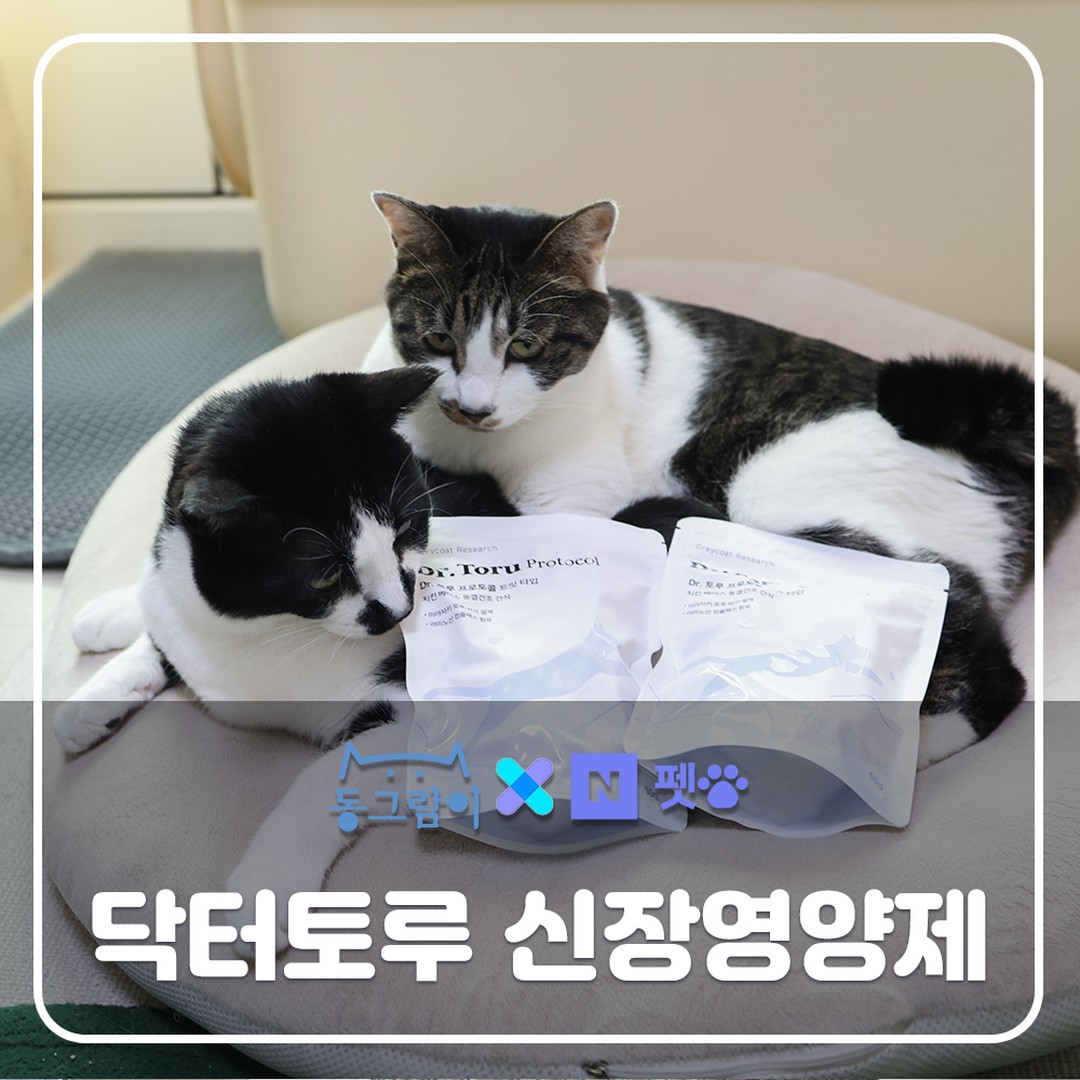 #협찬 #닥터토루 #네이버펫 #네이버펫앰배서더 #고양이신장영양제 #기호성좋은영양제

✨ [입짧은 냥이도 잘 먹는 단비 같은 영양제! 🐾] ✨

츄르? 트릿? 우리 집 냥이들에겐 하루 이틀의 흥미로 끝...😿
그런데 드디어 만났습니다, 닥터토루 신장영양제! 🎉

🌟 미친 기호성
바삭바삭한 소리와 눅눅함 없는 동결건조 트릿, 손으로 부수어 습식/건사료에 섞어도 완벽! 치석 제거까지 기대할 수 있는 똑똑한 영양제랍니다. 🦷

🌟 입짧은 냥이도 OK
10mm 크기의 순수 닭고기 맛! 입맛 까다로운 냥이도 한입에 쏙 먹어요. 우리 후추와 소금이도 정말 잘 먹네요. 🍗

🌟 건강과 맛, 둘 다 잡았다!

고양이 신장에 쌓이는 노폐물 제거에 도움 🩺
AIM 단백질 활성화 연구 기반으로 개발된 영양제
미지근한 물에 불려도 사용 가능
🧡 급여 TIP
하루 권장량(4kg 미만: 10개 / 4kg 이상: 15개)을 참고하되, 과하게 주면 밥 대신 이것만 먹겠다고 할 수 있으니 조절 필수!

🐾 결론
신장 예방에 도움을 주며 냥이도 기분 좋은 간식으로!
특히 입짧은 냥이 집사님들, 한 번쯤 꼭 도전해 보세요.
건강과 맛, 두 마리 토끼를 잡는 간식이라니, 대박이죠? 🐾✨
