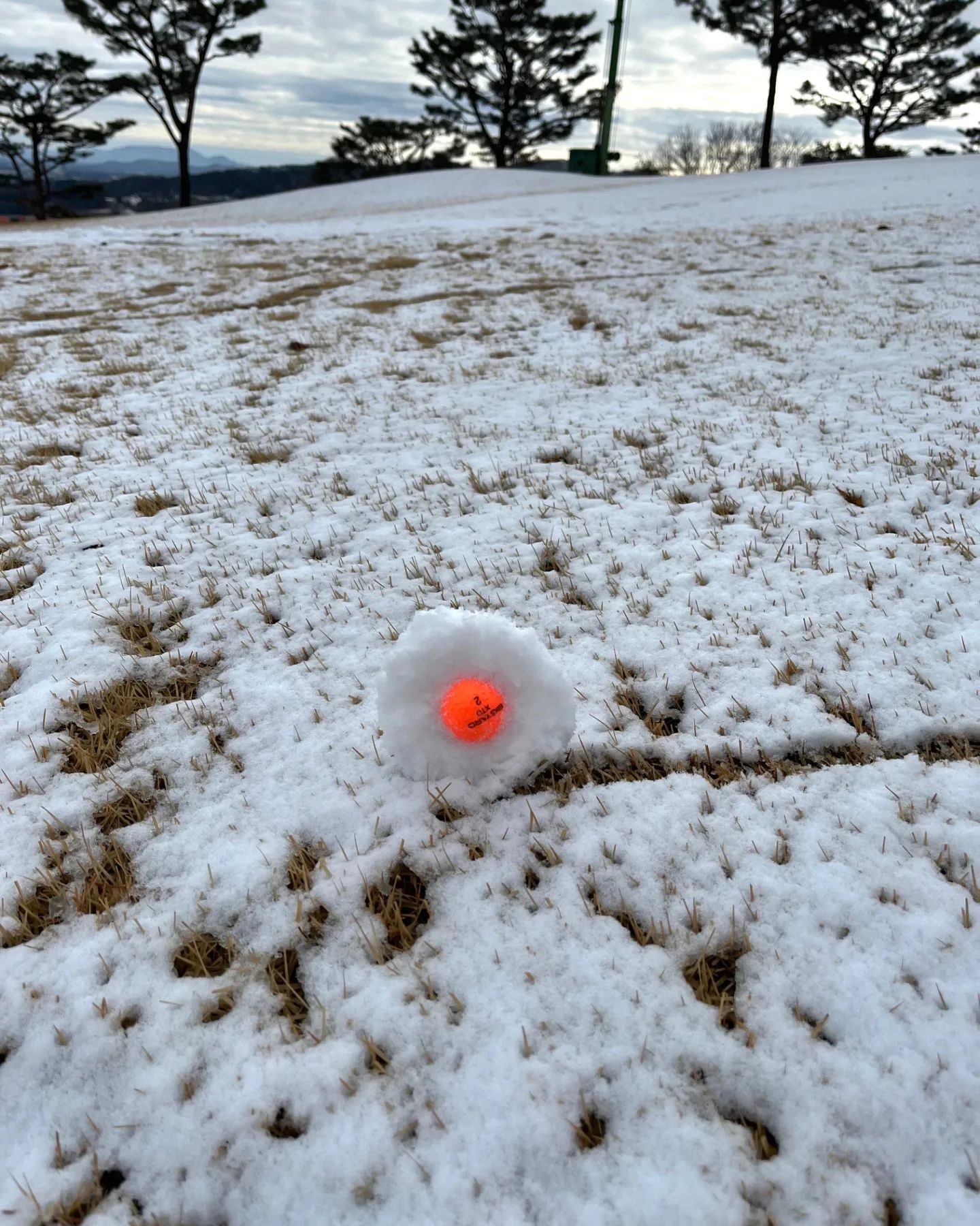 ❄️⛳️
사진 한장이 다 말해주는 라운딩.

예보에 없던 눈이 내려 입구에서 돌아갈까.. 10초? 고민했나요
이것도 경험이라며 참 긍정적인 분들과 👍
눈썰매도 같이 타는 일석이조의 환경에서
6홀 정도 까지는 쳤다하면 공으로 눈사람 만들며✨️
늘 고마운 도영이랑 트윈룩 야구부 복장 형아들~

봄 위해서 다시 열심히 연습할게요!! #동기부여

#뭔가잘못됨을느꼈지만 #지른다고 #내기골프
#겨울골프 #이천골프장 #비에이비스타cc 
#라고 #비스타 #다이어트 #언제하지