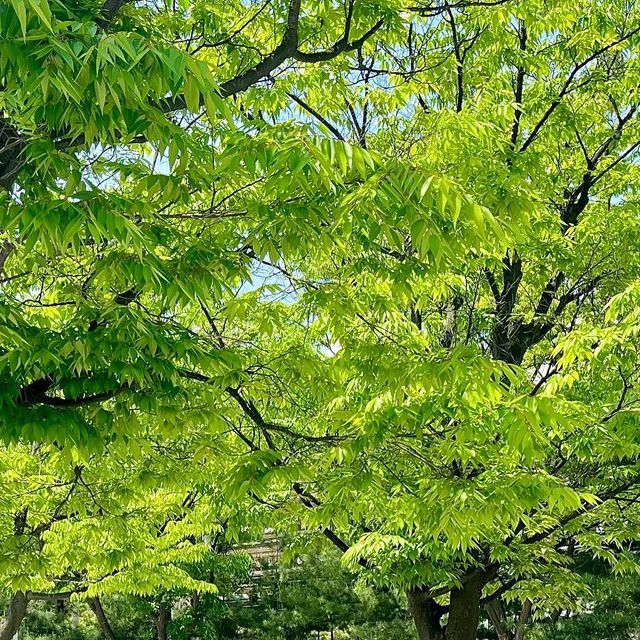 루아 • rua on Instagram: "#광고 운동할땐 역시 스포츠브라 #마른5 ✔️딱 몸에 핏 돼서 가슴을 잡아줘 고강도 운동을 해도 가슴처질 걱정이 없어요 ✔️ 생각보다 도톰해서 덥지 않을까 걱정했