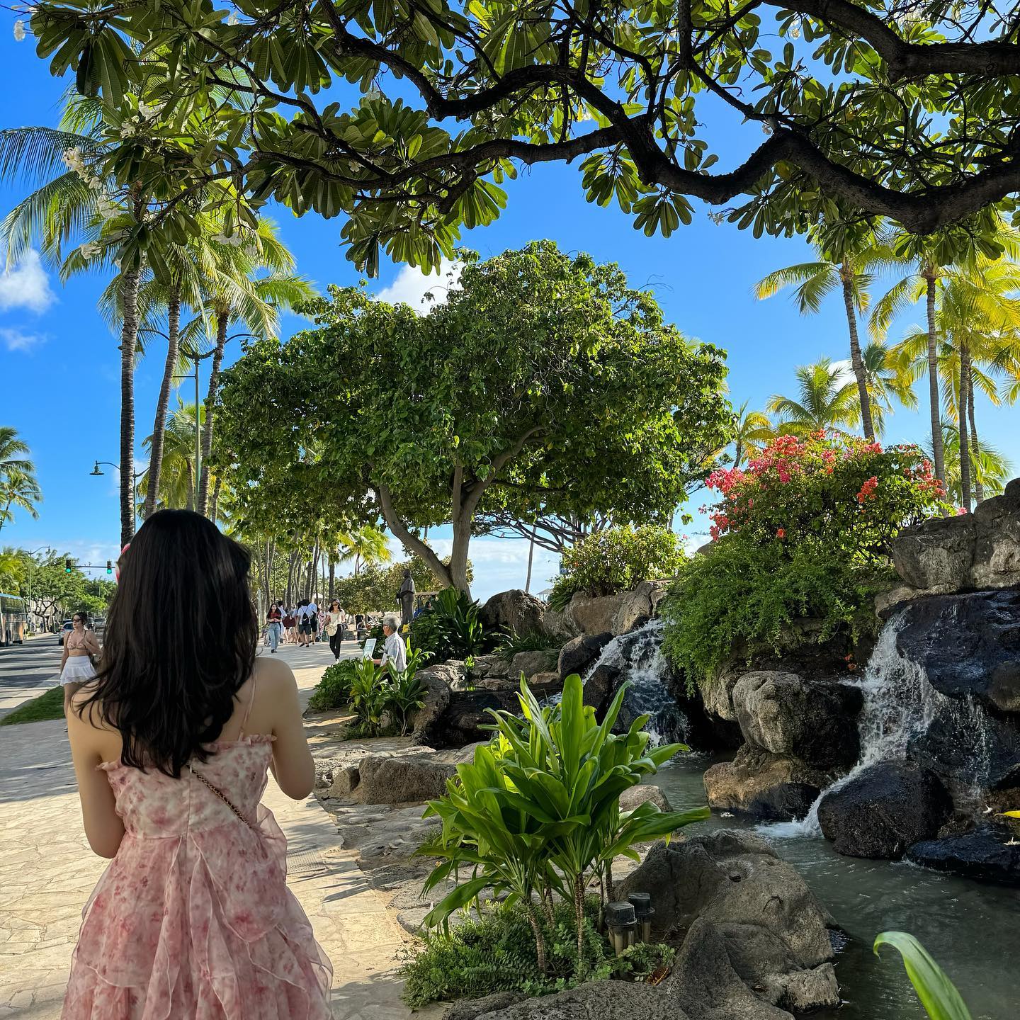 Aloha, beaches 🌸🌼