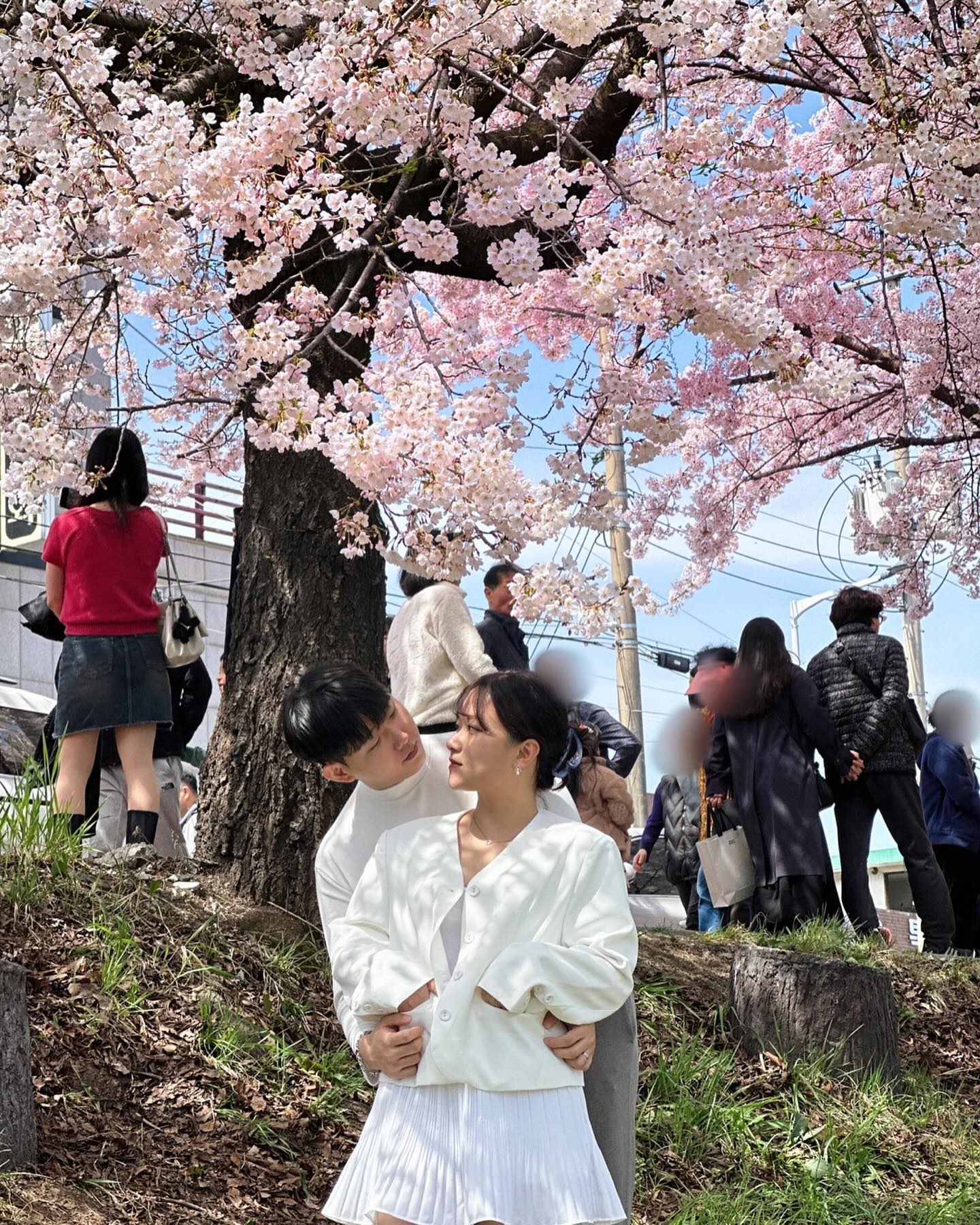 밍석이랑 두번째 봄 🌸
-
-
-
#민석이랑 #두번째 #봄 #무심천 #🌸 #럽스타그램