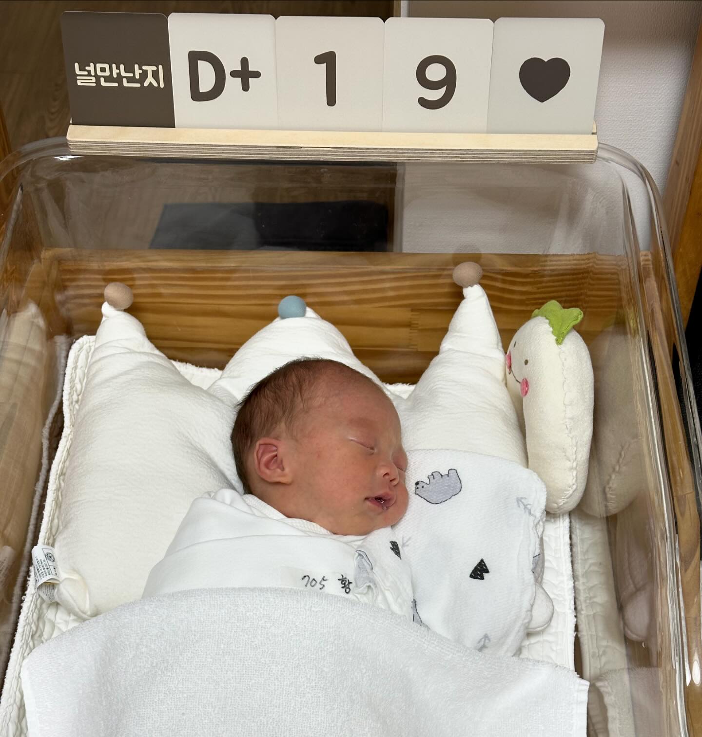 메리 +19🧡

드.디.어.퇴.원 🥰 몸무게 2.27kg🍼🍼🍼🍼🌸
장하다 우리아들👍 #도치맘

나에게는 기나길었던 병원생활😳
운이 좋았던 나는 의료대란에도 서울대병원에서 안전하게 출산하구, 아이케어도 잘받고.. 정말이지 MFICU 쌤들 진짜 좋았는데
신생아중환자실nicu쌤들도 너무나 감사하고 또 감사한마음💕
마지막 퇴원인사드리는데 문앞까지 배웅해주시면서 인사해주시는데 …감동😍🧡

어제 결정된 오늘의퇴원, 예상보다 빠른퇴원에 바구니카시트가 도착하지않아 우짜지 했는데 돌돌싸매서 주차장까지 무사히 내려오고 올인원카시트에 안착🥰 서울대병원에서 조리원까지 40분정도 소요되는데 뒷자석이 진동이 이리쎈지 몰랐네🥲 덜덜덜덜덜덜덜…오빠는..다음차는 세단으로 바꾸자고 한다^^;;ㅎㅓ허
그래도 서우가 울지않고 잘 자고 와줘서 고생안하구 도착‼️ 조리원와서도 잠만자네😅
이런저런 생각이 많은 밤을 보낸 어제는 밤을 꼴닥😳ㅎㅎ
너무 피곤한 상태인데..조리원 도착해서 이것저것 설명듣느라 지쳐있는디.. 조리원 부원장님이 가슴상태봐주시고 마사지해주시고, 원장님이 반갑게 맞아주시고~ 신생아실 선생님들도 서우가 쪼꼬매서 걱정했는제 걱정과달리 너무 예뻐해주시면서 케어도 잘해주시구, 우리서우 예뻐서 딸인줄 알았다고 ㅋㅋㅋ (어깨으쓱..ㅎㅎ)
피곤해서 오늘은 쉬고 싶다고 말씀드렸더니 노콜 할테니 편히 쉬라고 😌  창이커서 다른곳예약한곳 캔슬하고 온 산후조리원인데 너무 잘온듯 아늑하지만 답답하지 않아 좋아😁ㅎㅎㅎ
아기욕조안에 선물꾸러미가득 ㅋㅋㅋㅋㅋ아직 풀러보지도 않음..

암튼 잘먹고 잘쉬다 가야지..4월부터 바로 복귀예정이라😳허허
오늘 하루가 넘 길다😳 오늘은 부디 푹 잠들길😌🧡🧡

오늘부턴 서우와 나의 조리원 생활 일상으로 도배되겠군🤭ㅎㅎ

#서우맘 #도봉구산후조리원 #창동산후조리원 #소중한맘산후조리원 #산후조리원추천 #육아 #출산 #육아일기 #육아스타그램
#베이비스타그램 #서울대병원 #신생아 #퇴원 #조리원일상 #맘스타그램 #애개육아 #애개육아소통 #데일리 #일상 #육아소통