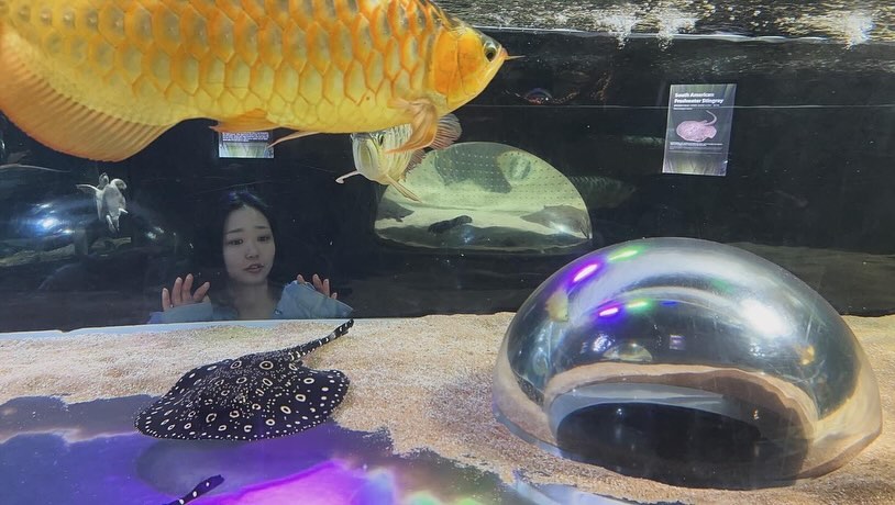 나 수족관 좋아하네 🦭
