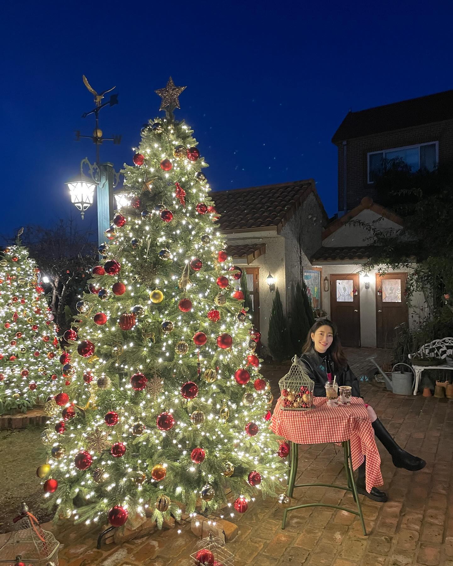 갑자기 블링블링 크리스마스 사진들  피드에 올리고 싶어서...🎄✨
마구마구 올려야지..💚