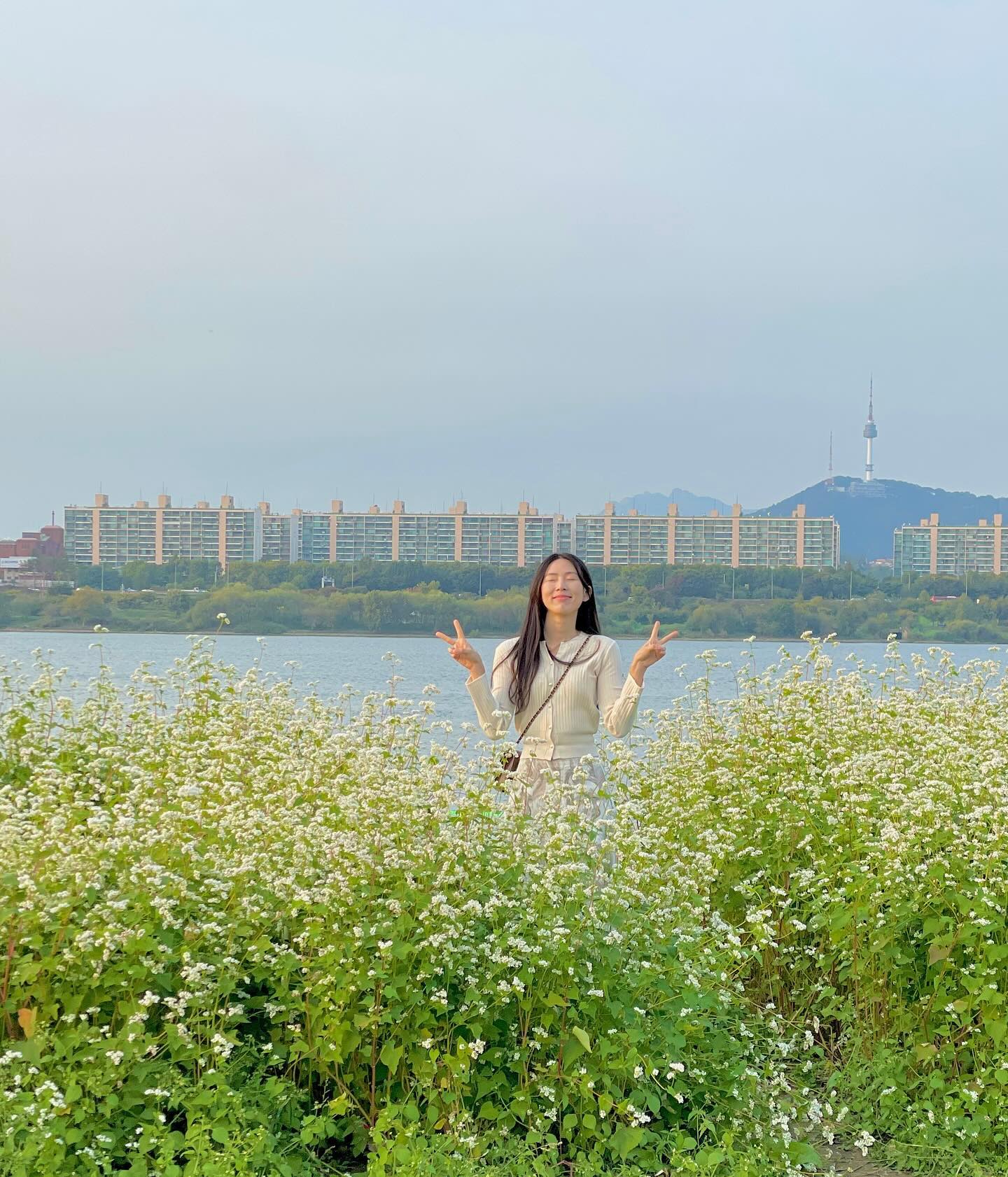 남산타워와 63빌딩이 한눈에 보이는 메밀꽃밭 공유!🧡🫶🏻😳

지금 반포 한강 서래섬에는 메밀꽃 축제가 한창이에요! 

가을 벚꽃이라고 불리는 메밀꽃이 활짝 폈는데요 

꽃+한강+남산타워+63빌딩의 조합은 말해 뭐해 ㅠㅠ😳🫶🏻🩷
 
일에 치여 지쳐있던 저에게 힐링을 가져다준 한강 메밀꽃밭🤍
 
-
노을에 물든 메밀꽃을 보고 싶다며 꼭 오후에 방문하세요! 

🏠서래섬 메밀꽃 축제
📍서래섬 서래2교와 더 가까워요
🚗주차가능
◼입장료 무료 

자세한 정보는 프로필 링크를 확인해주세요 

#서래섬 #서래섬메밀꽃축제 #서레섬메밀꽃#메밀꽃 #메밀명소 #서울서래섬 #반포한강 #서울가볼만한곳 #서울노을명소 #seoul