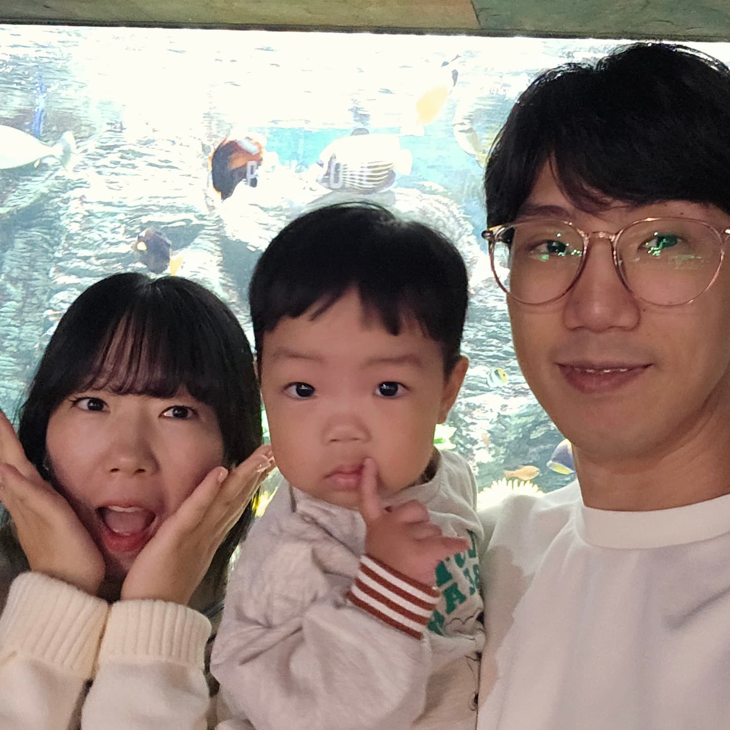 #지난일상 10.03

얼마만에 서울 나들이...
#잠실아쿠아리움 구경하고, 
잔디밭에서 힐링타임 :)
잠실 아쿠아리움 넘 좋은거 아니냐구...

#잠실아기랑 #아기랑가볼만한곳 #잠실아쿠아리움 #아쿠아리움 #아쿠아리움추천 #잠실 #롯데타워 #아기랑 #육아맘 #육아일상 #일상스타그램 #육아소통 #육아기록 #소통스타그램
