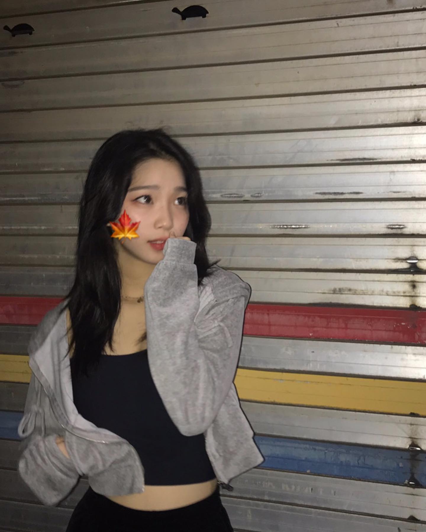 콘텐츠