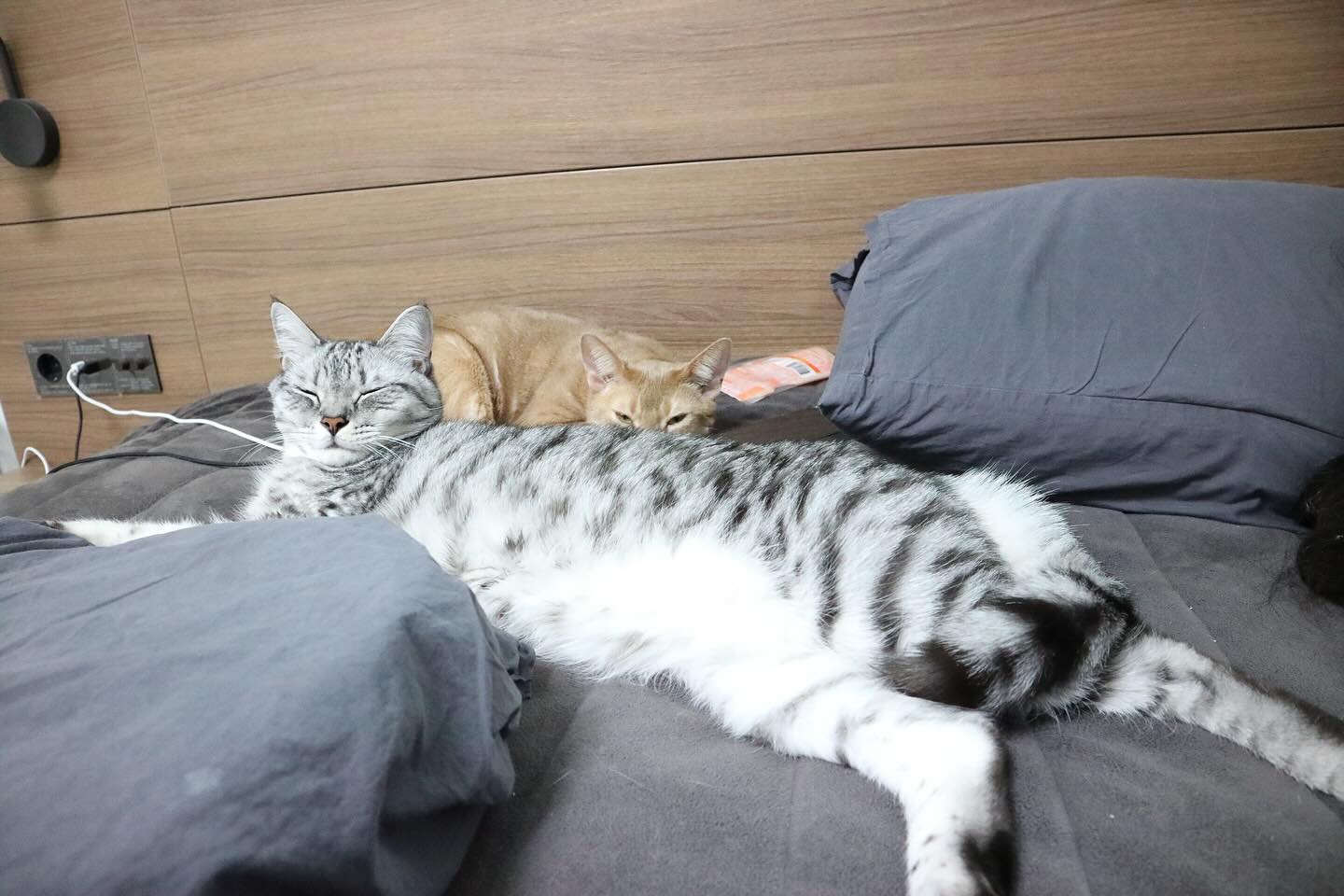 나이가 드니 이런 모습도 보여주는구나