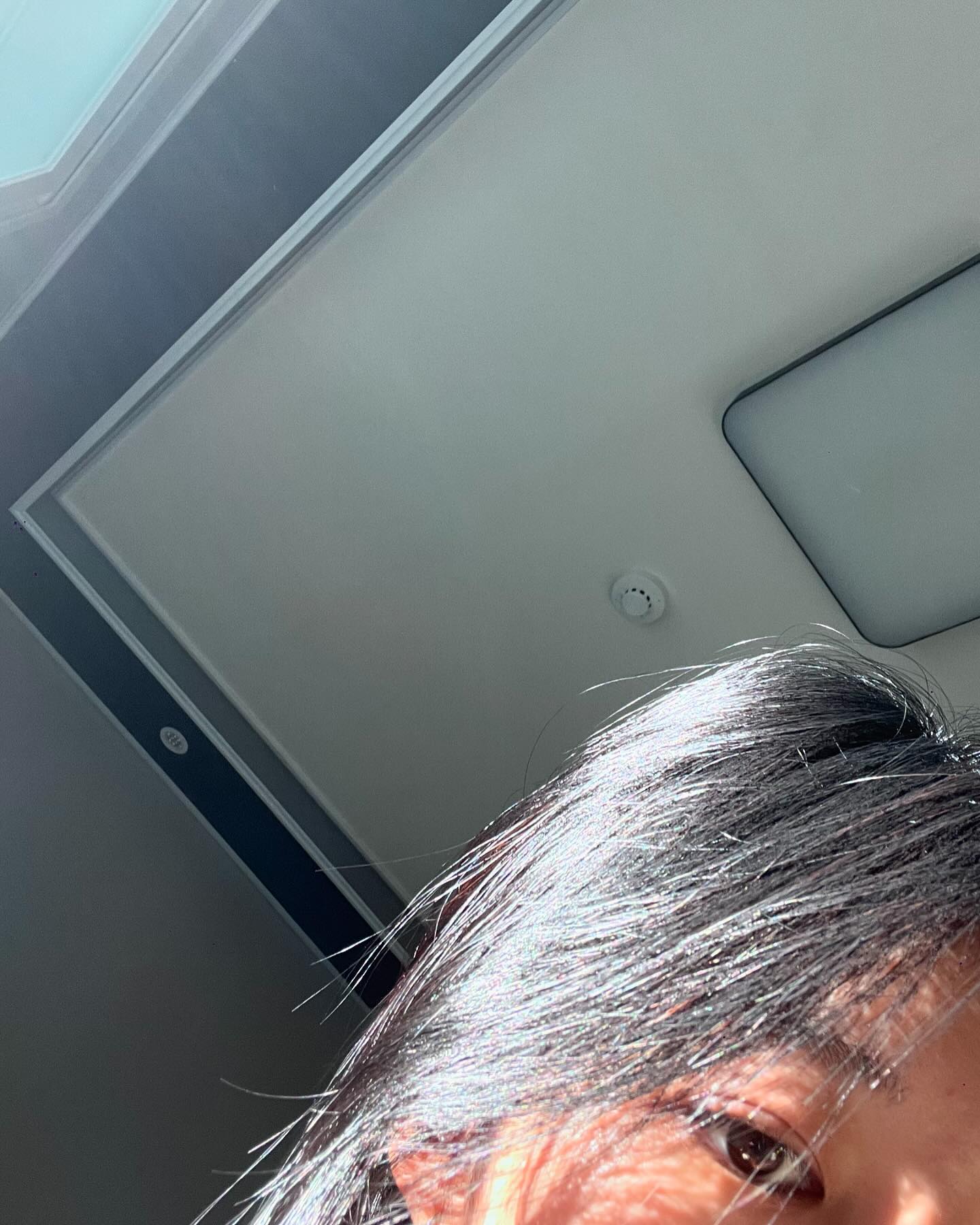 자연광 최고☀️하ㅏ지만 뉴질랜드는 못이기지..