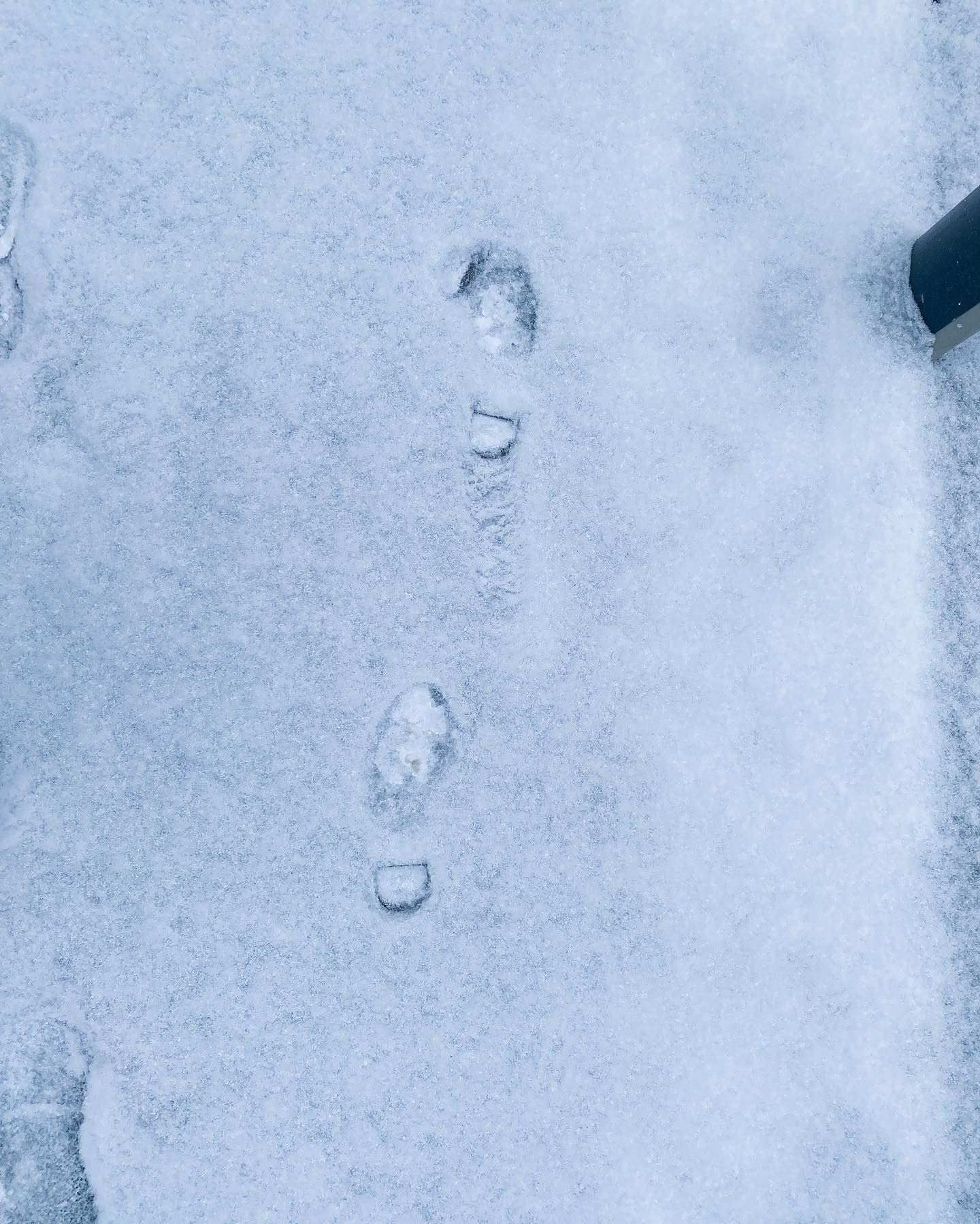 크리스마스 아침 교회 가는 길 👣

밤새 내린 눈으로 하얗게 쌓인 눈 뽀득뽀득 밟으며 😊

크리스마스 이브 아이들의 공연과 칸타타도 함께 들어보세요🎧

#크리스마스예배
#화이트크리스마스 
#크리스마스이브