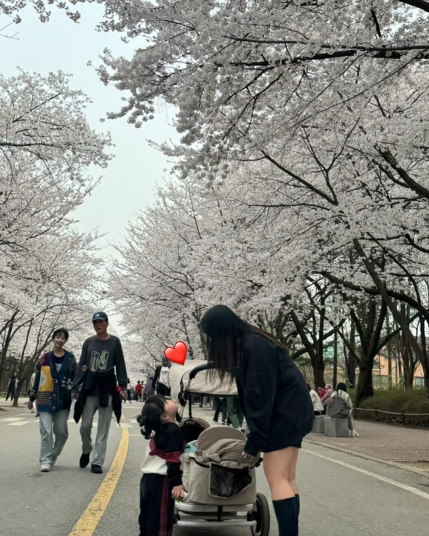 하늘이랑 벚꽃본지 3년째