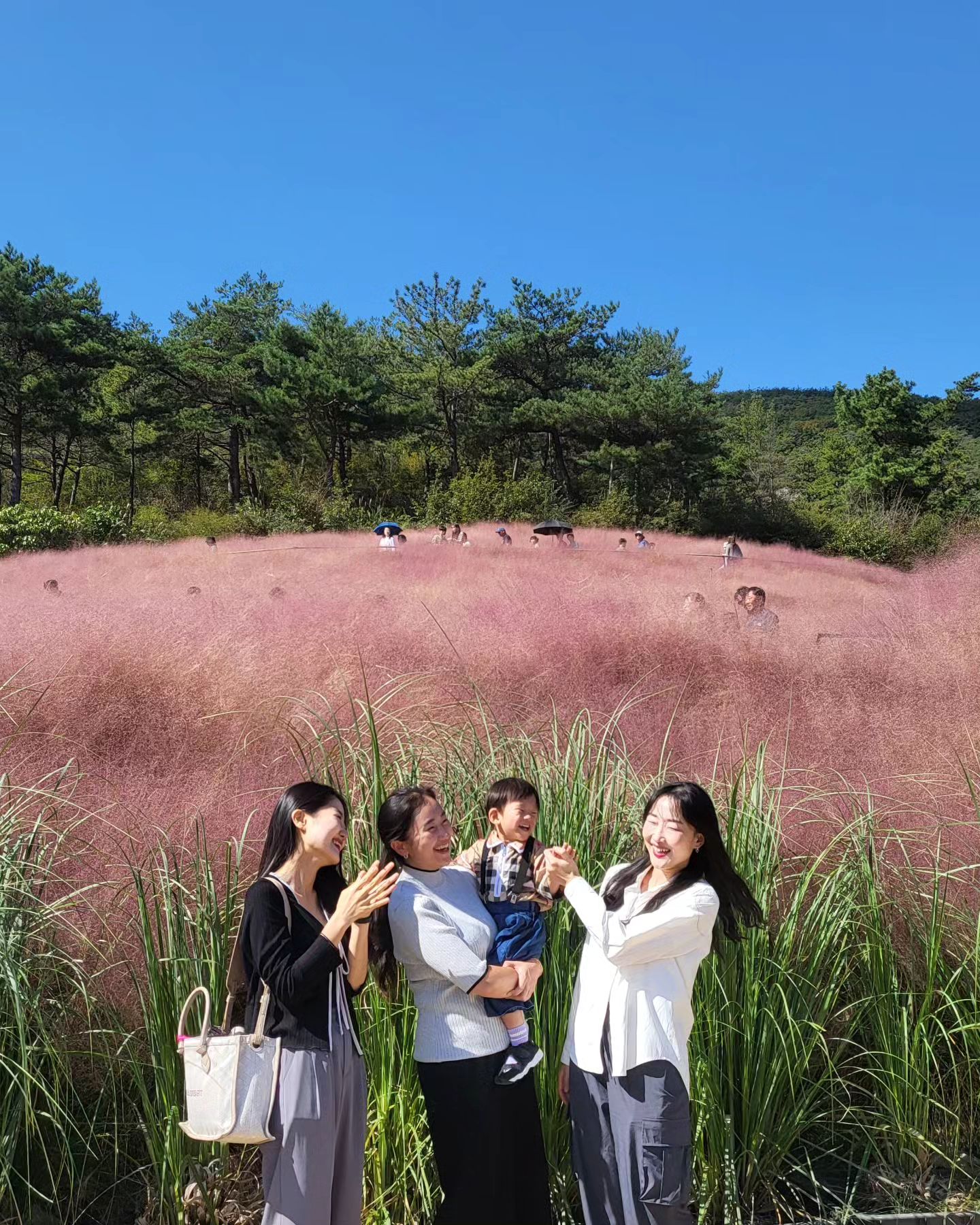푸른이가 좋아하는 이모들이랑,, 💕💜
#고창핑크뮬리 #선운사 #하눌구르미카페 #황금코다리고창점