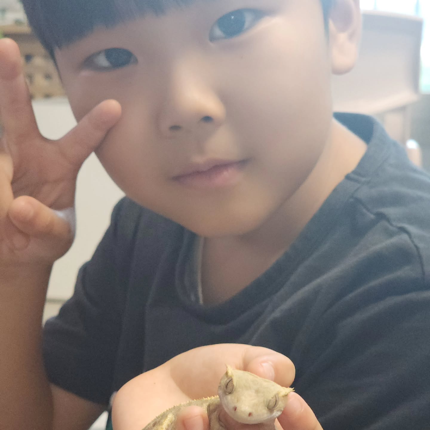 🌈
마뱀이와 아이들

속눈썹이 예쁜 크레스티드게코 🦎
야행성이라 낮엔 대부분 잠만 잔다.ㅠㅠ

눈 똥그래진 모습은 밤에만 볼 수 있어서 아쉽지만 일자눈도 나름 귀엽다 ㅋㅋ

#크레스티드게코 #크레 #도마뱀 #도마뱀스타그램 #애완동물 #애완동물스타그램 #데일리 #데일리스타그램 #일상기록 #일상스타그램
