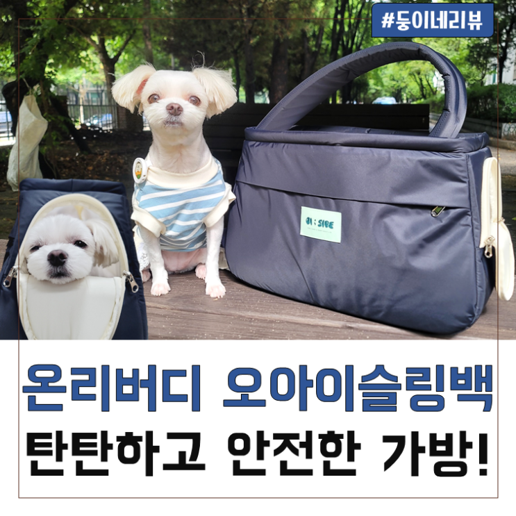 탄탄한 강아지슬링백 온리버디 오아이사이드슬링백 사용후기!