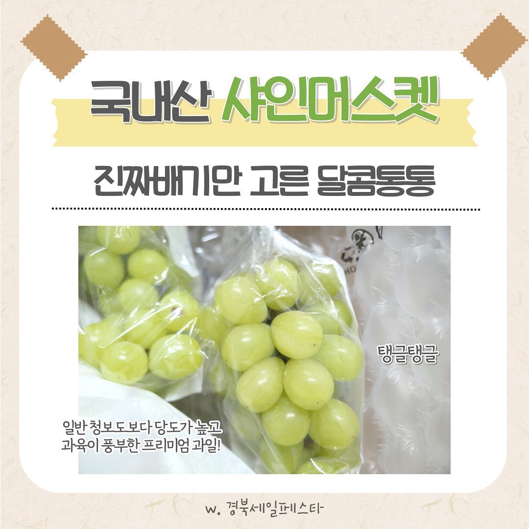 #제품제공

#경북세일페스타 에서 판매중인
진짜배기만 고른 달콤통통 국내산 샤인머스켓💚

일반 청포도보다 당도가 높고
과육이 풍부해 ’망고포도‘라고 불리기도 하는 샤인머스켓
아이들도 너무 좋아해서 한송이는 순삭이에요🤣

💡샤인머스켓 더 맛있게 먹는 꿀팁💡
후숙될수록 노란빛을 많이 띄며 당도가 올라가요
2~3일정도 후숙하면 당도가 더 올라가
맛있께 먹을 수 있답니다😋

경북 우수기업의 다양한 기획전 상품은
#경세페 에서 더 만나보세요

#경북세일페스타서포터즈