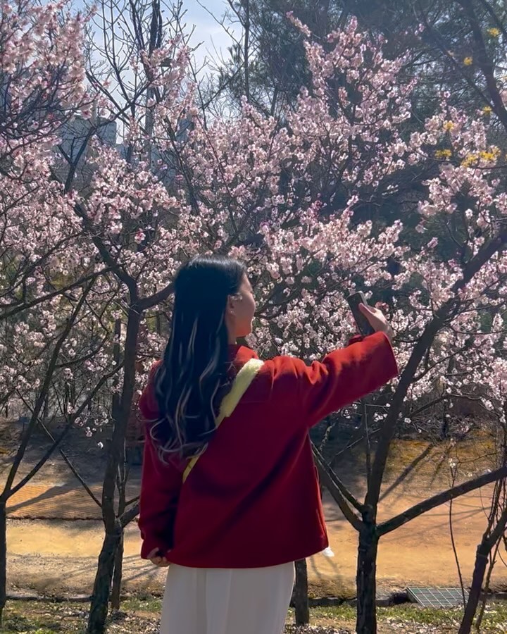 성심당 가서 빵 먹고
피크닉 한 다음에
한밭수목원가서
목련이랑 매화본 날 🌸🌼🌺
추울 줄 알았는데 너무나 더웠다 ,,☺️