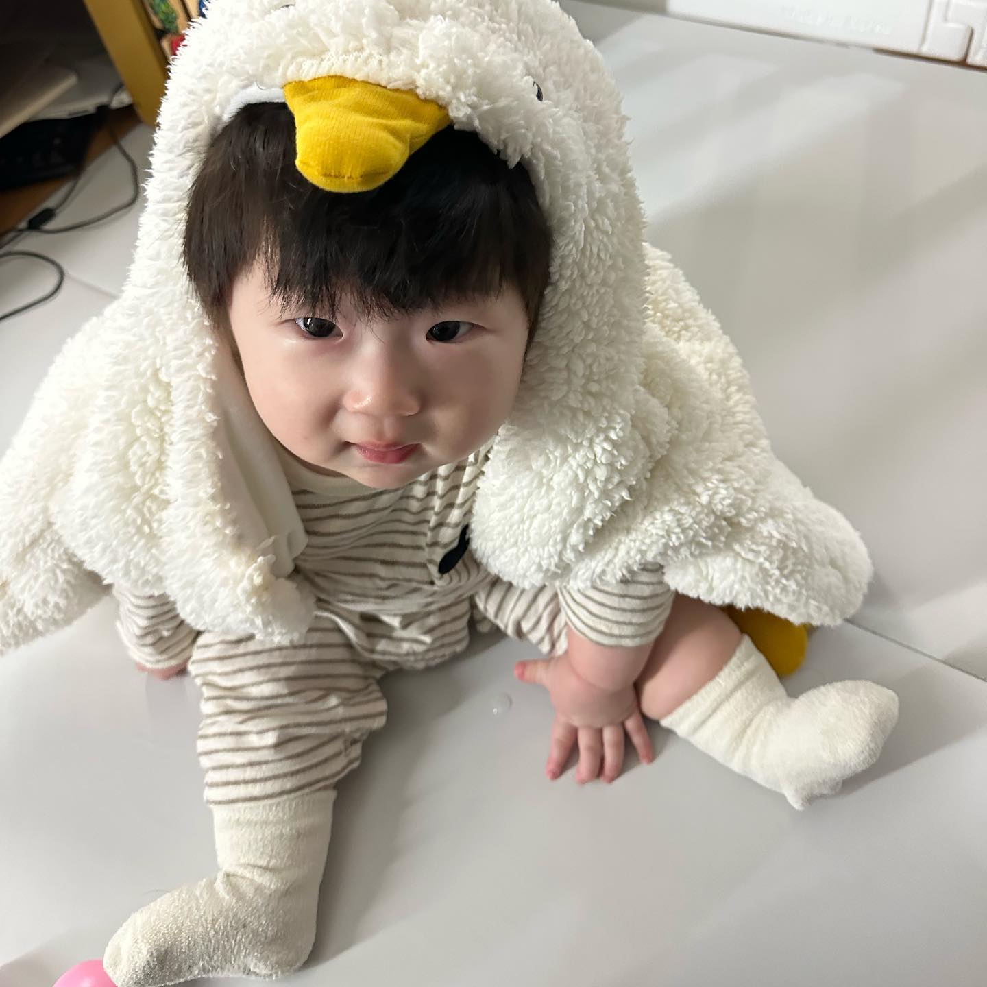 저번 주말에 다녀온 월미도! 

우주의 첫 관람차 

오리우주는 월미도 인기스타였음 ~,~ 

오리옷 너무 귀여워🥰🥰🥰🥰 

근데 아직 우주의 체온으로는 오리옷은 넘 더웠다😂 

얼른 더 커서 얼른 걸어다니고 말하고 맛난거

 같이먹었으면 좋겠다~,~