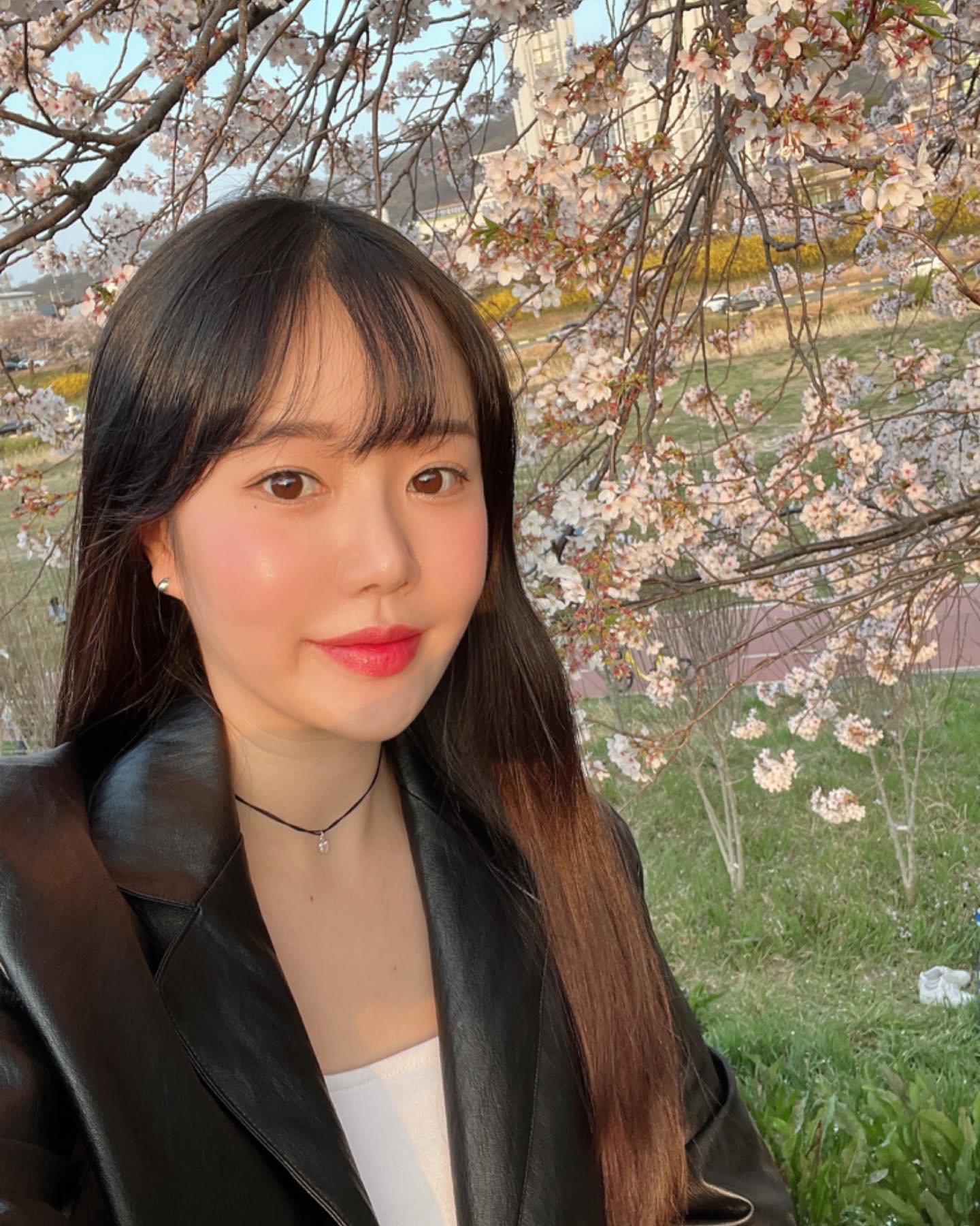 뽀뽀야 매년 벚꽃 함께하쟈~🤍
