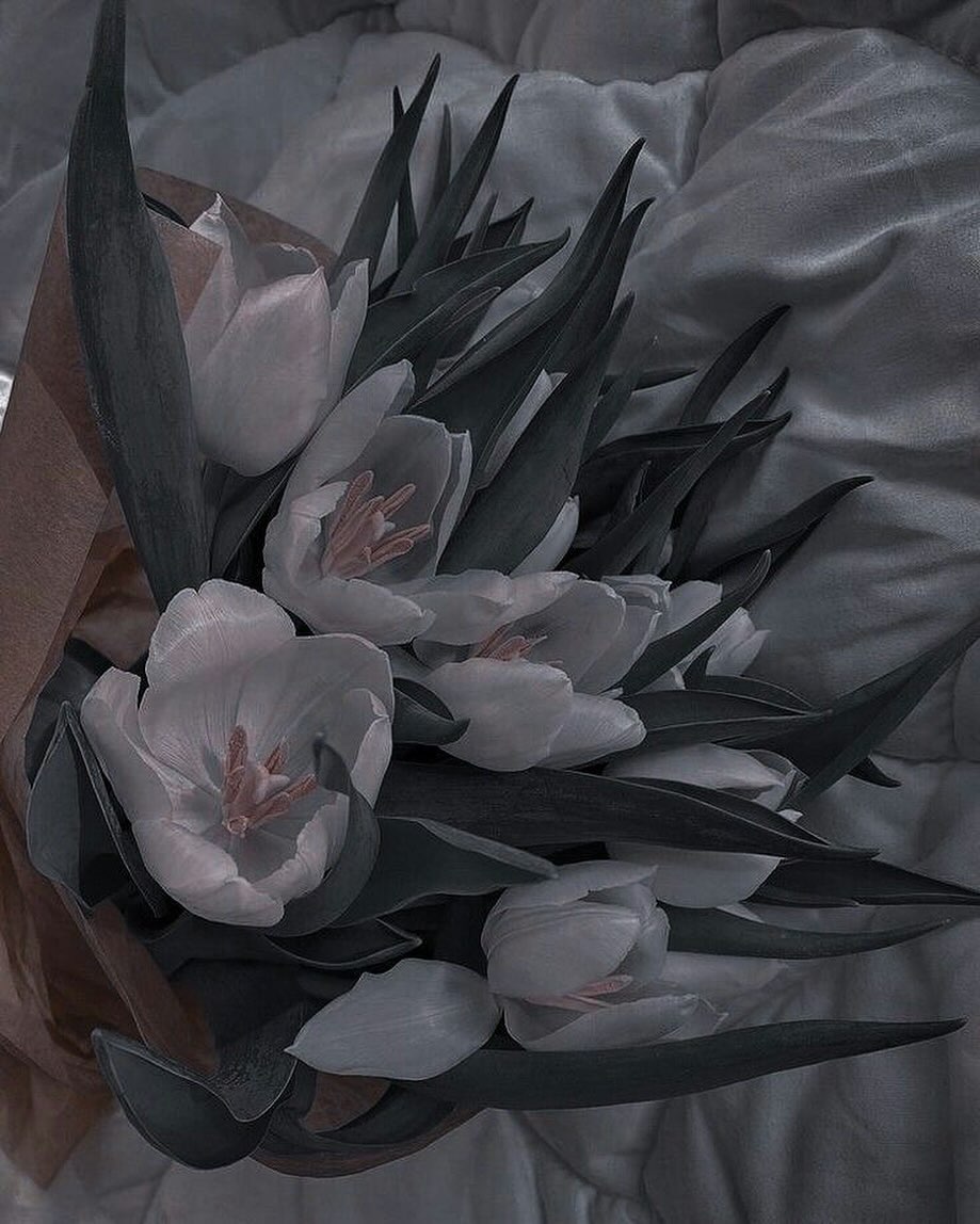 콘텐츠