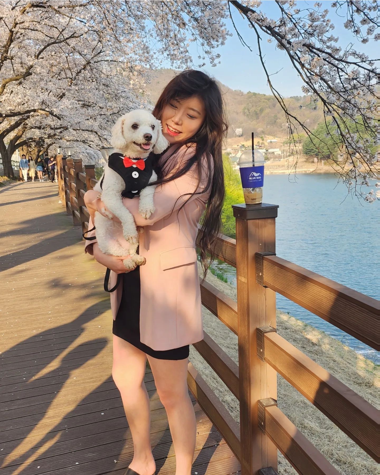 늘어지게 벚꽃구경🌸