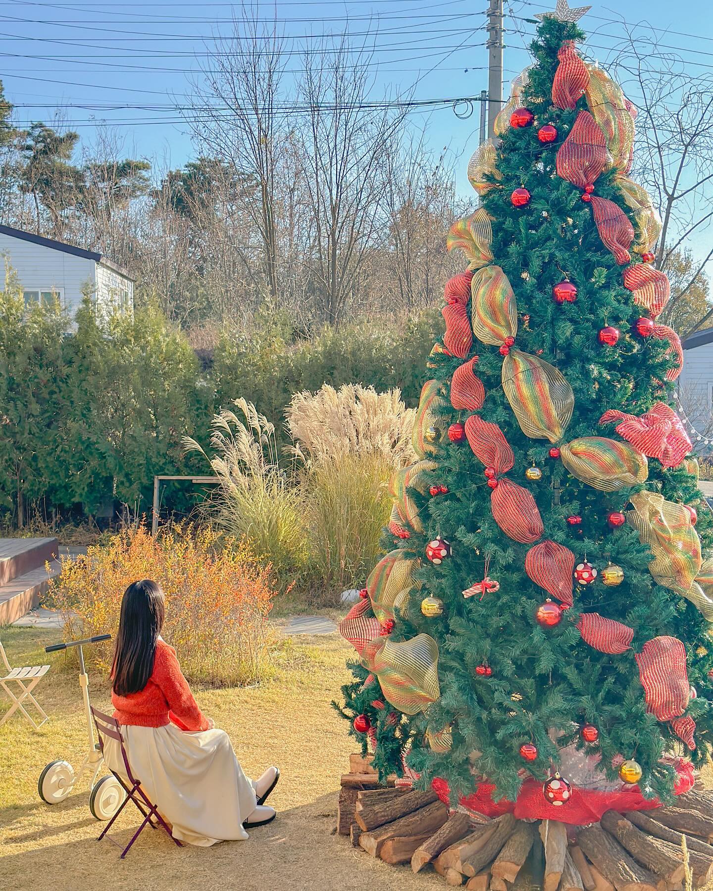 가을과 크리스마스가 공존하던, 세종 아크커피🎄🌾

크리스마스 트리 보러 다녀온 곳이였는데 가을 볕과도 잘 어울리던 세종 카페 아크커피.
아크커피 트리도 밤에 봐야 예쁜줄 알았는데 알록달록한 사탕같은 색감에 낮에 봐도 너무 예쁜 트리였답니다.
아직 지지 않은 억새랑 조합도 너무 예뻐 낮에 다녀올까 말까 고민하시는 분들께 낮에 보기 예쁜 트리로 강력추천 드리고 싶어요!
딸기케이크는 없어서 아쉬웠는데 대신 시킨 크로플도 너무 맛있고, 겨울 한정 시즌으로 나오는 뱅쇼도 너무 따뜻하고 맛있었답니다🍷♥️

🎄아크커피 (arccoffee__ )
📍세종 장군면 월현윗길 38-15 아크커피
🕰️11:00-21:00
🚘주차공간 O
🐶반려동물 동반 가능
#세종여행 #세종맛집 #세종카페 #아크커피 #세종크리스마스 #청주근교 #청주근교카페 #세종시카페 #세종가볼만한곳 #세종데이트