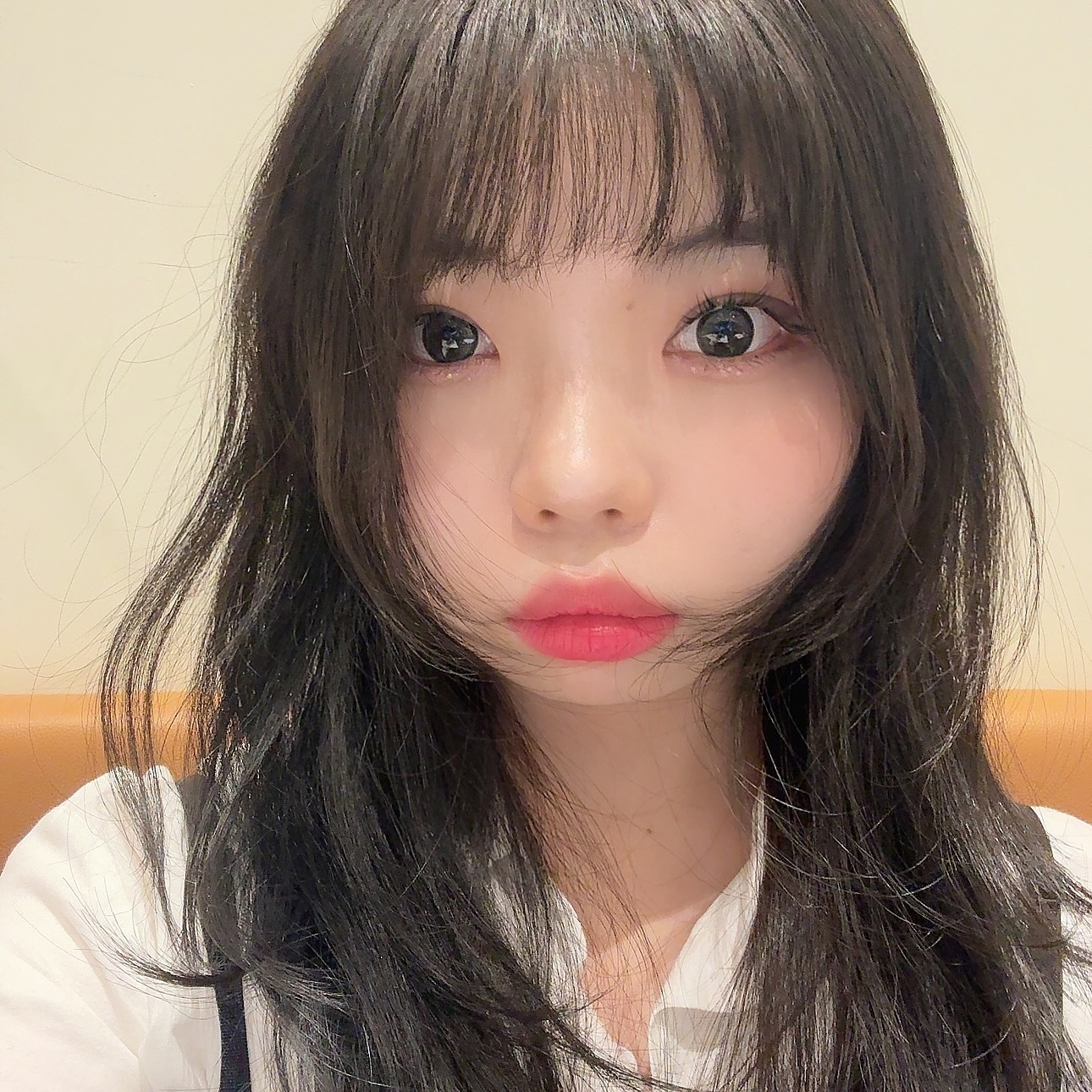 메이크업의 분위기를 전환하고 싶을 땐 속눈썹 만한게 없더라구요 인형같고 드라마틱한 효과를 누릴 수 있는 키보의 삐삐래쉬🖤 노글루라서 초보자도 쉽게 떼었다 붙였다 할 수 있고 단 5분이면 인형 속눈썹 완성할 수 있어서 손이 자주 가요🖤

이날 정말 추운 날이었는데 아침 9시부터 새벽 1시까지 외출하고 붙였는데도 안떨어지고 처음 그대로였어요🖤

#키보 #keybo #삐삐래쉬 #노글루속눈썹 #속눈썹추천 #올리브영추천 #속눈썹 #인형속눈썹 #가닥속눈썹 #아이메이크업 #래쉬 #뷰티모델 #뷰티서포터즈 #뷰티크리에이터 #뷰티유튜버 #뷰티블로거 #뷰티촬영 #뷰티화보 #뷰티인플루언서 #인플루언서