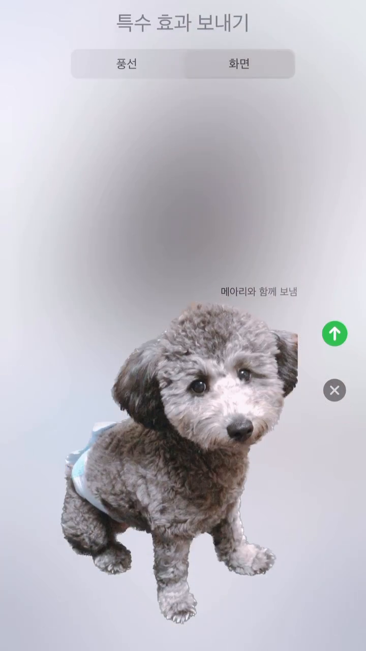 실패 ㅜ 앙증맞징ㄴㅎ아!!!!!