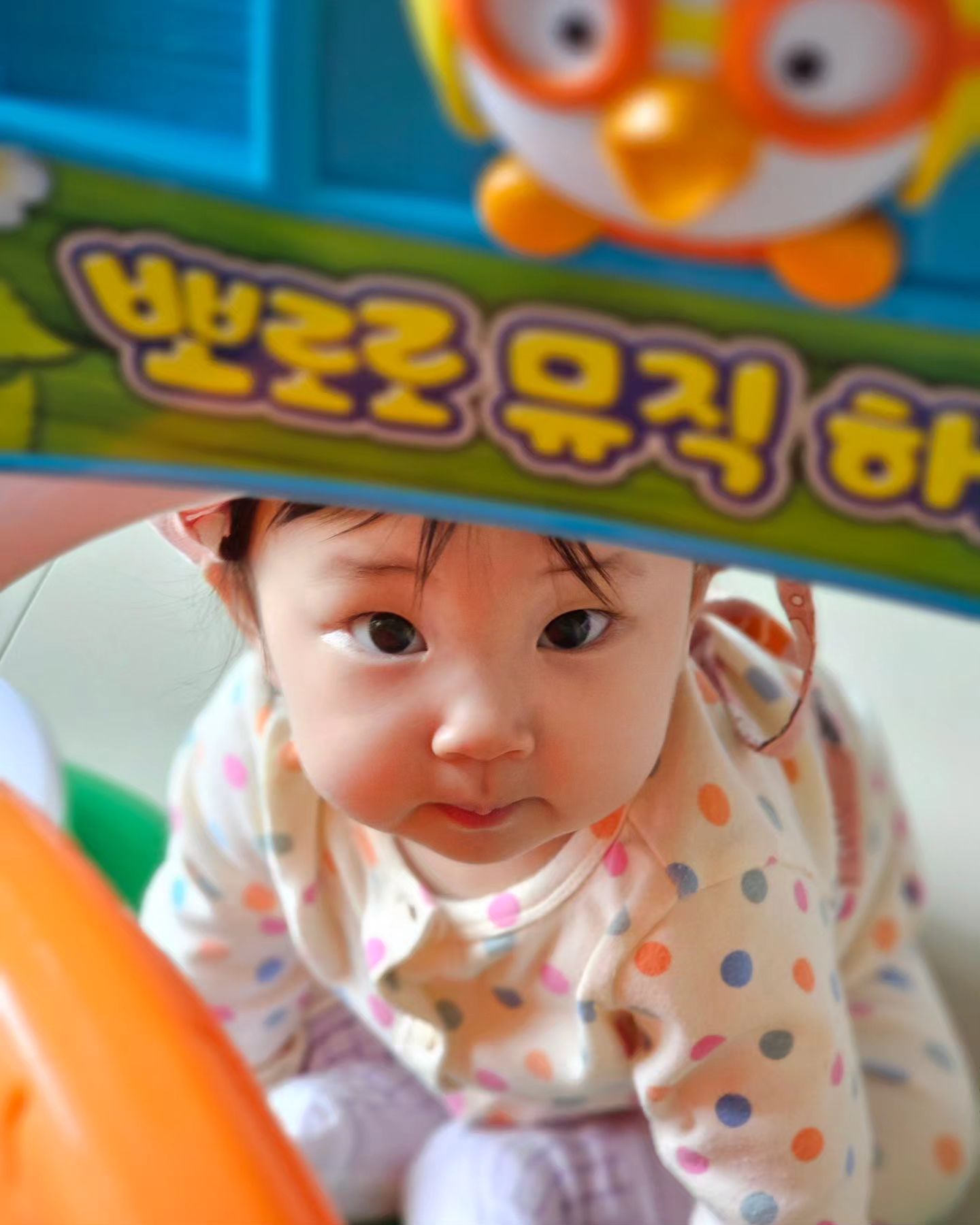 D+216
엄마 감기몸살 소주로 이겨내고, 이유식 만드는 동안
아빠랑 신나게 놀은 윤슬이❤️
역시 아빠가 찍어준사진은 퀄리티가 다르구나😅

#아기 #아기스타그램 #육아스타그램 #육아 #육아소통 #베이비 #베이비스타 #베이비스타그램 #토끼띠아기 #흑토끼맘 #흑토끼맘소통 #딸맘 #육아일상 #아기모델 #일상소통 #아기사진 #선팔하면맞팔 #인친환영#육아템 #협찬환영 #맞팔해요 #babystagram #followme#instagood#l4l #이유식 #아기용품 #아기 #아기모델