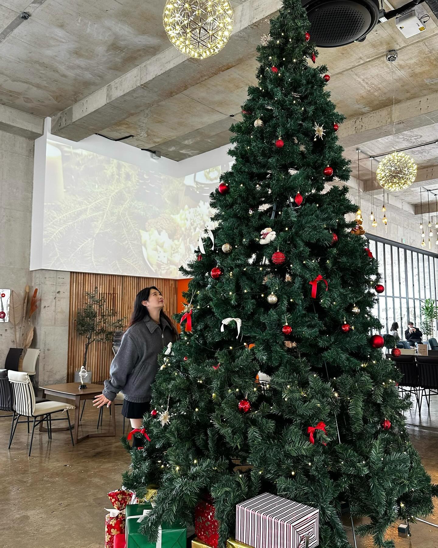 Merry christmas🎄
