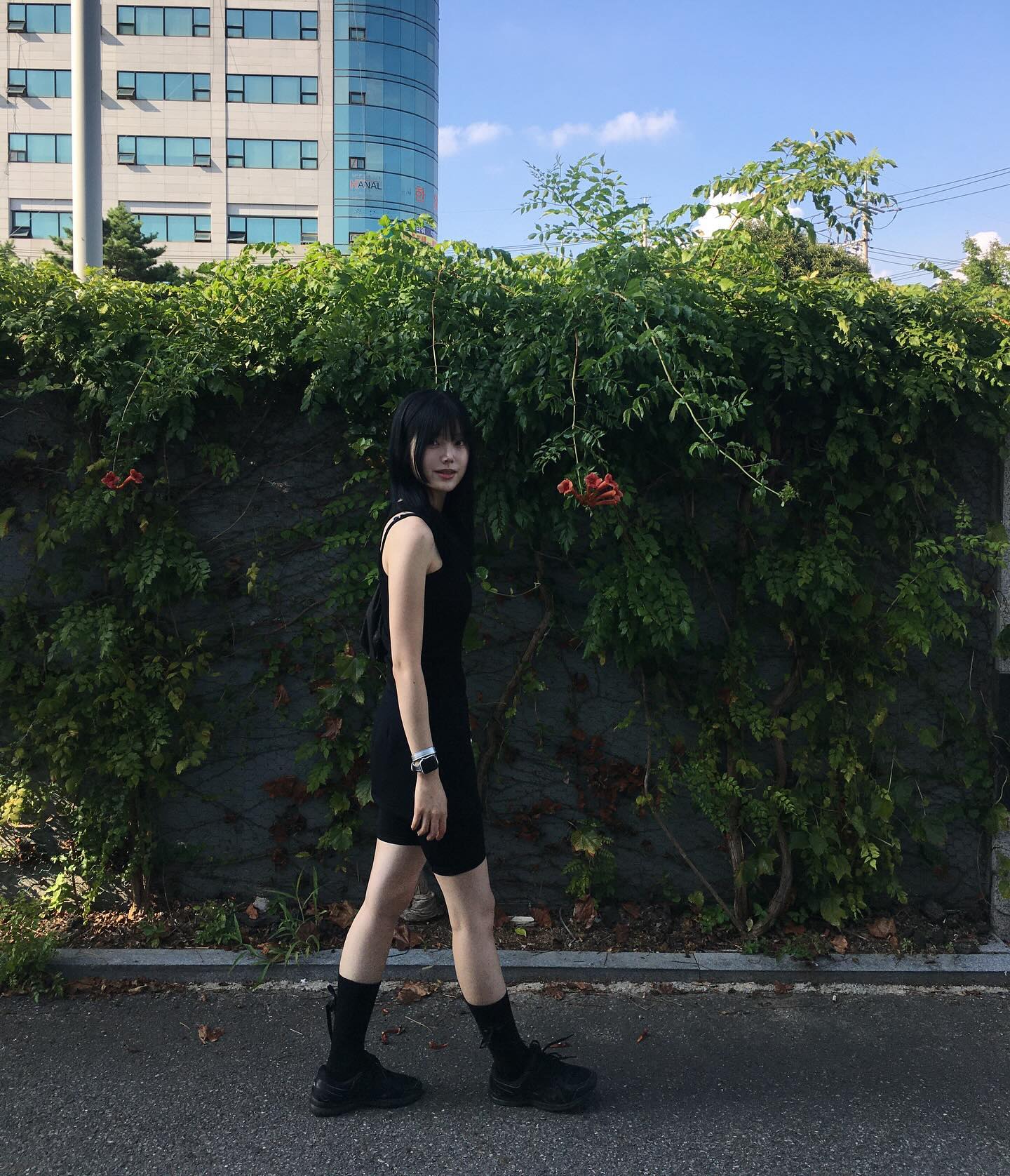 🪼🌺