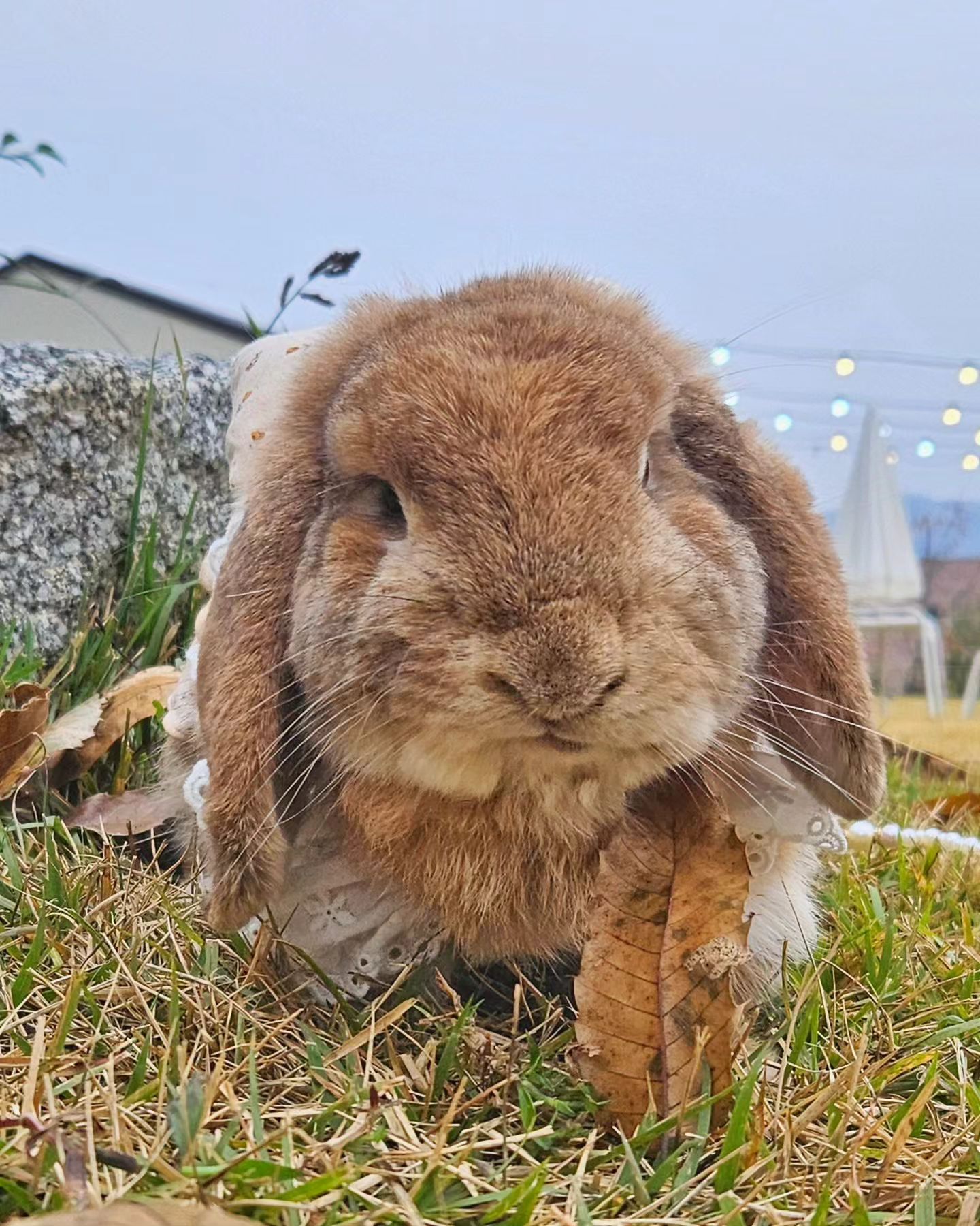 나 잘생겼어요?