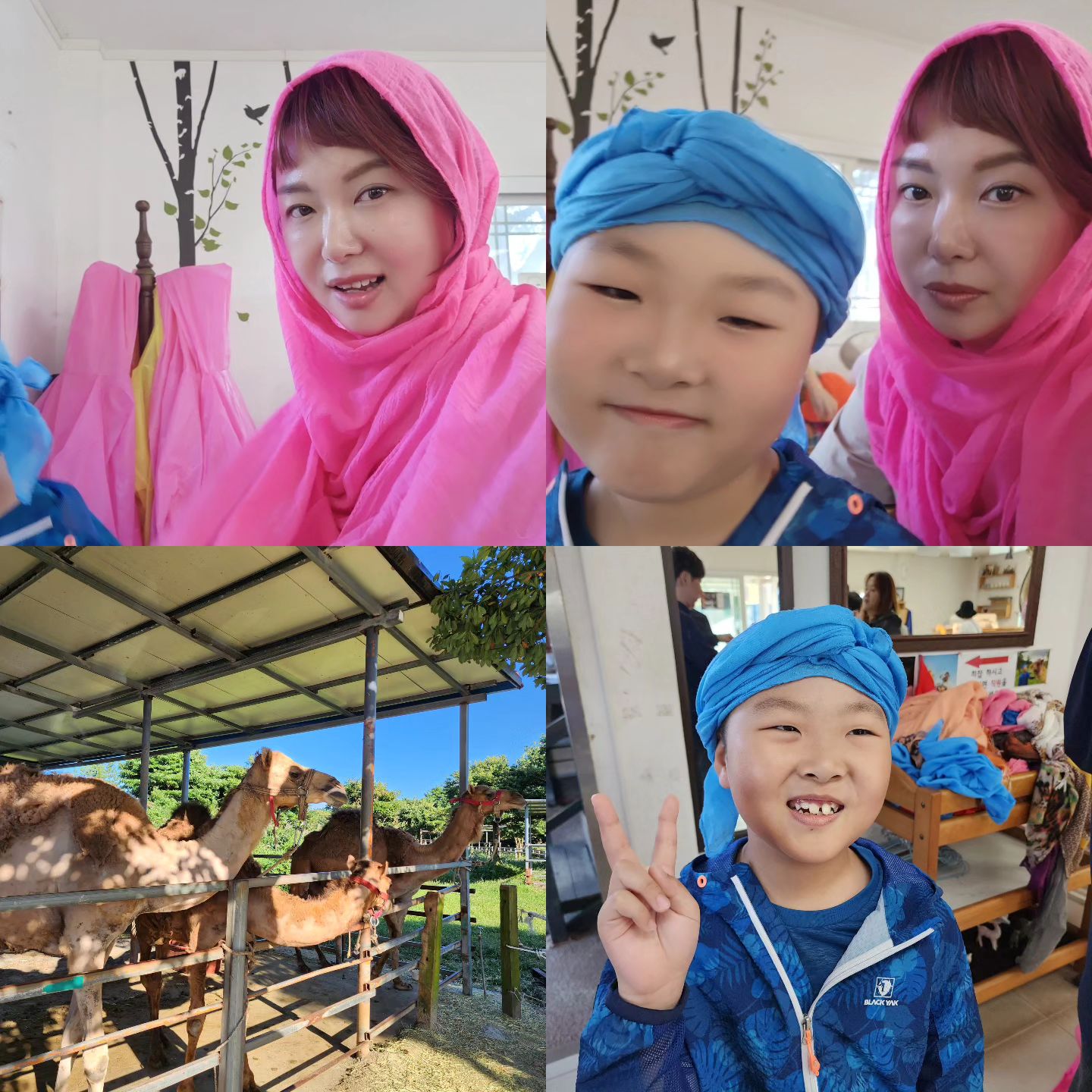 #제주낙타트래킹