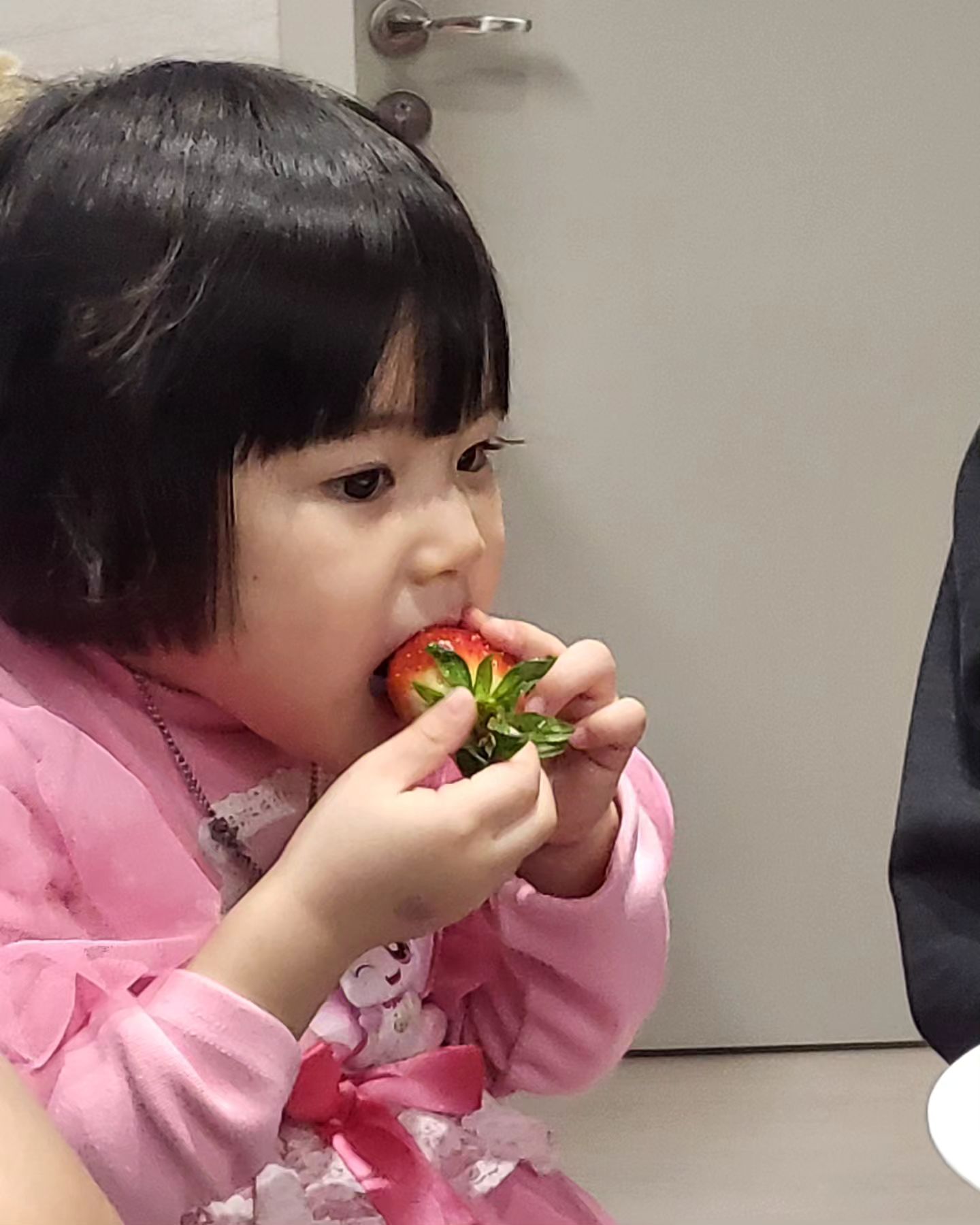 ♥ han ha rang ♥ + 1168
서준이 자는 서준이네서 금딸기 훔쳐먹긔🍓
.
.
.
#쥐띠맘 #쥐띠아기🐭 #쥐띠맘소통 #20년생 #20년생아기 #쥐띠아기 #애개육아 #애개육아맘 #강아지랑아기🐶👶 #하랑 #한하랑👼🏻 #하랑하랑해👼🏻 #보스턴테리어 #쥐띠딸 #딸랑구💕 #딸스타그램 #아기스타그램 #애기스타그램 #선팔하면맞팔 #육아스타그램 #육아일상 #육아소통 #육아일기 #육아소통맞팔