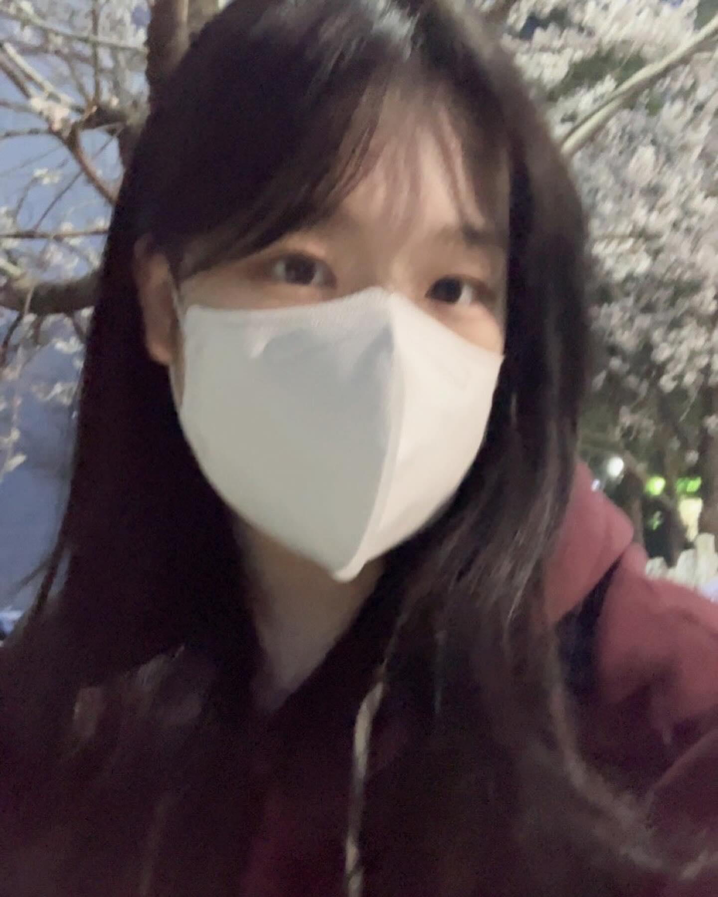 콘텐츠