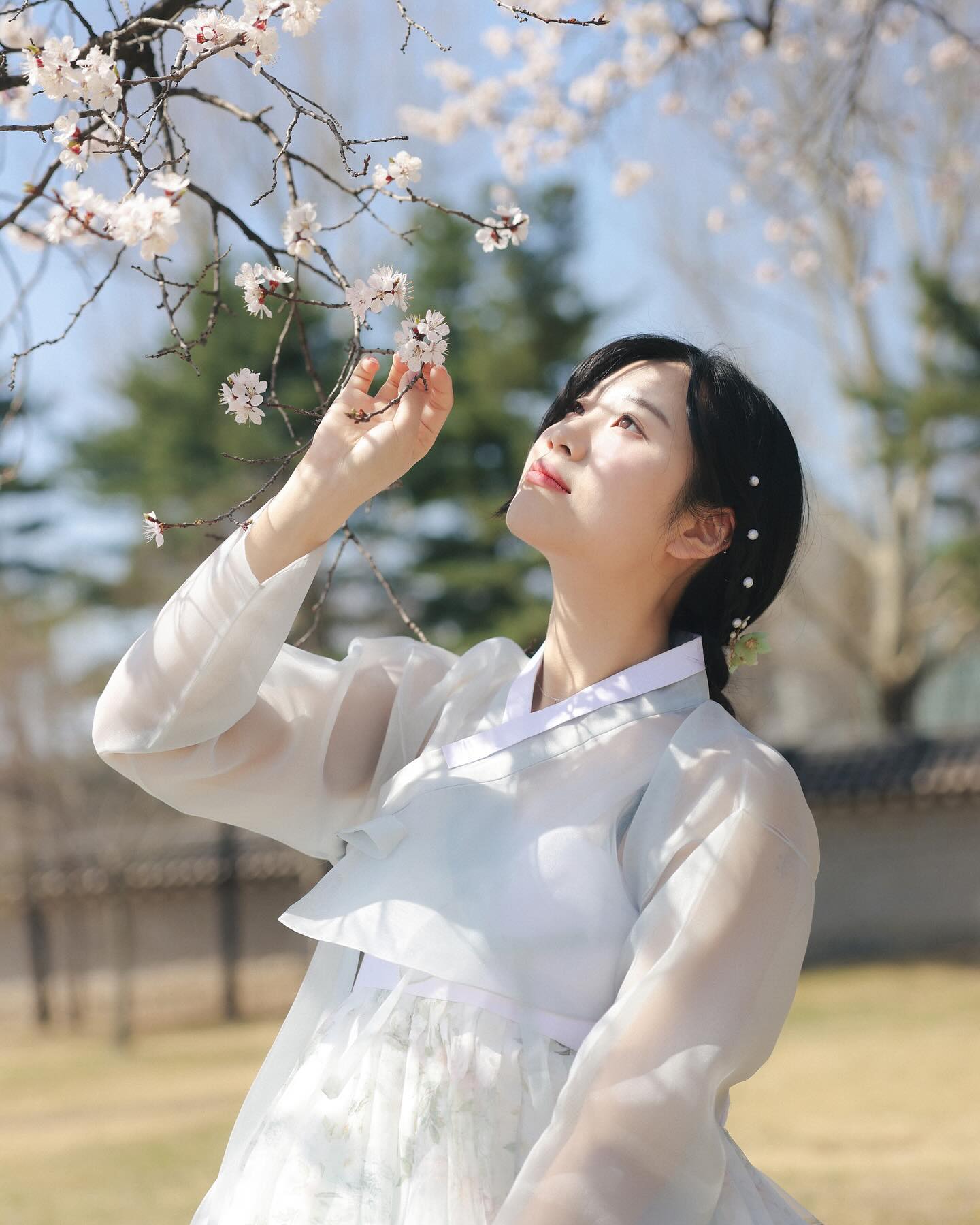 왕벚꽃 찾아봐 ㅋㅋ🌸🤍