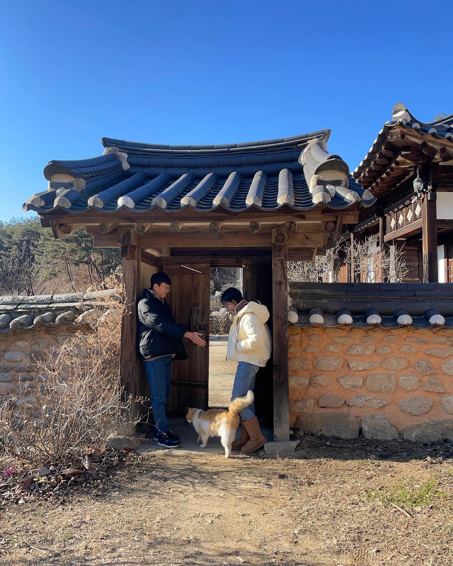 개냥이가 내자리를 뺐는중.jpg
.
📍군자마을 
입장료 없음
작은 한옥마을, 광산 김씨집성촌, 
갔을때 몰랐는데 악귀 촬영지라니!
이곳의 시그니처 개냥이😻🐶
.
#안동여행 #군자마을 #안동가볼만한곳 #악귀촬영지 #겨울여행추천 #rg커플추천여행지