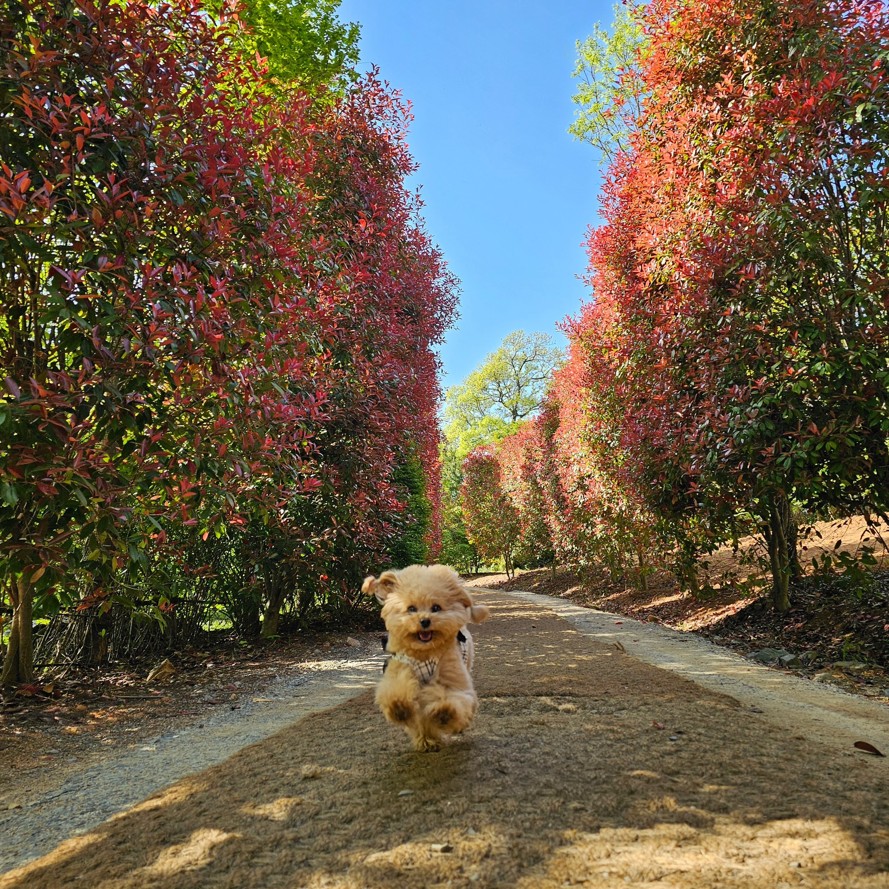 :
🍂🍃