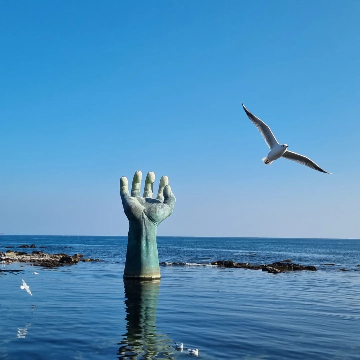 #20231229
.
#호미곶 
#구룡포과메기 
#영덕여행 
.
포항은 스쳐지나 가는 중