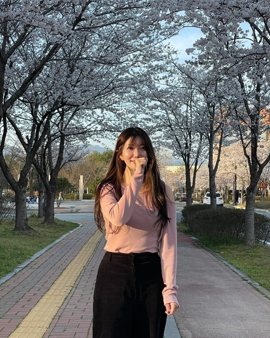 벚꽃 구경 ☺️ 앨범 속 꽃 사진도 탈탈 ,,,