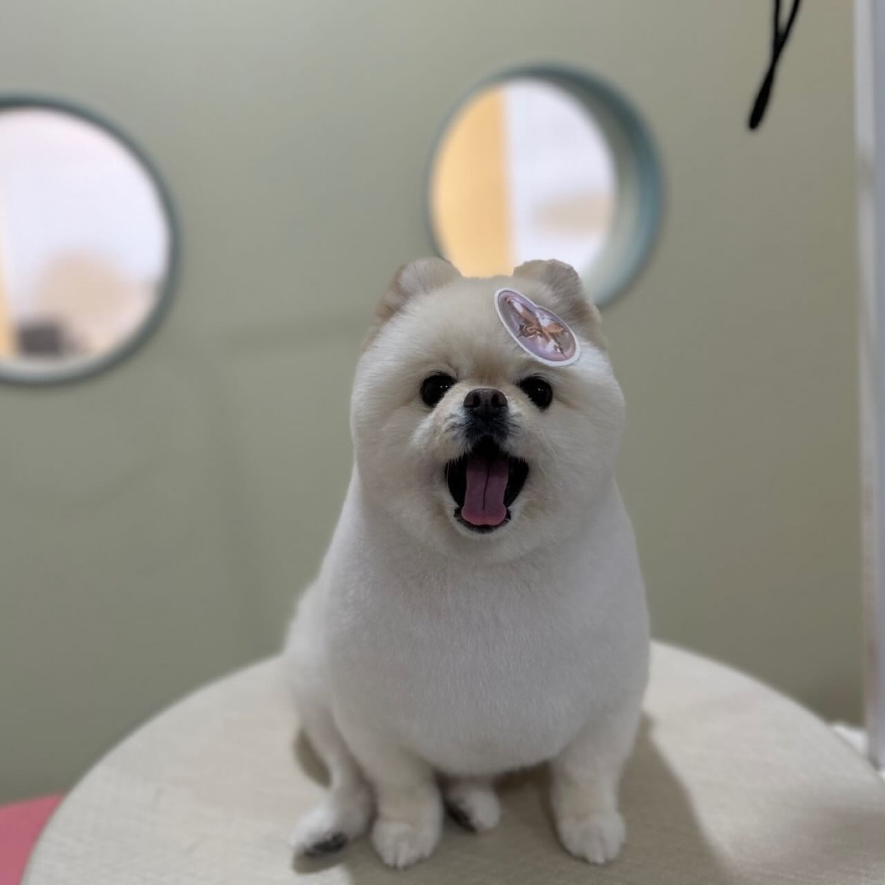 이 조그만 아이가 나한테 제일 큰 존재가 되어버렸다🫶🏻🩷
아빠랑 엄마가 앞으로 더 행복하게 해줄게 사랑해 베비🍼