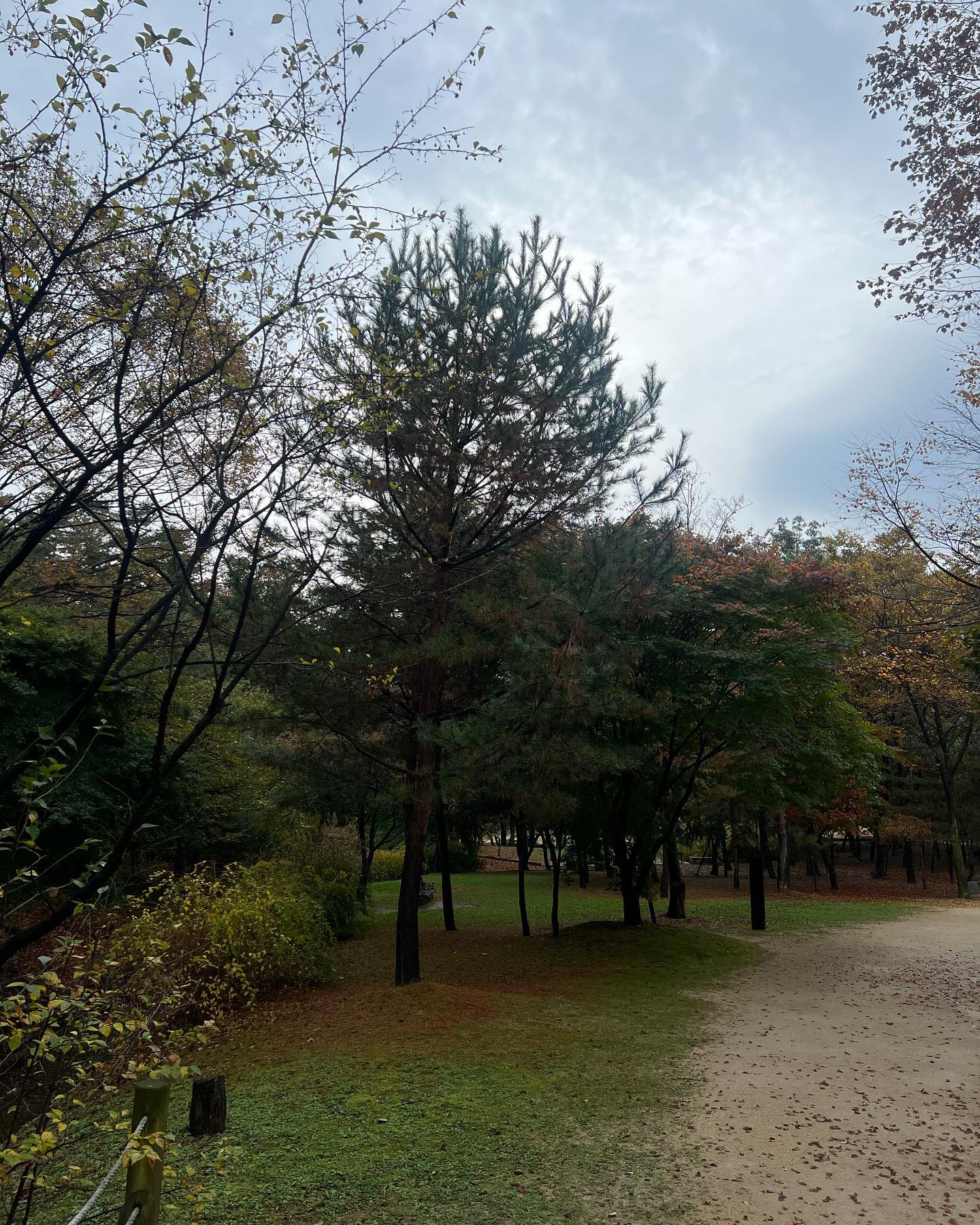 .

Pretty 🍁
계절 느끼는 법 

 
#단풍 
#가을이다
#가을산책 
#peaceful 
#autumncolors