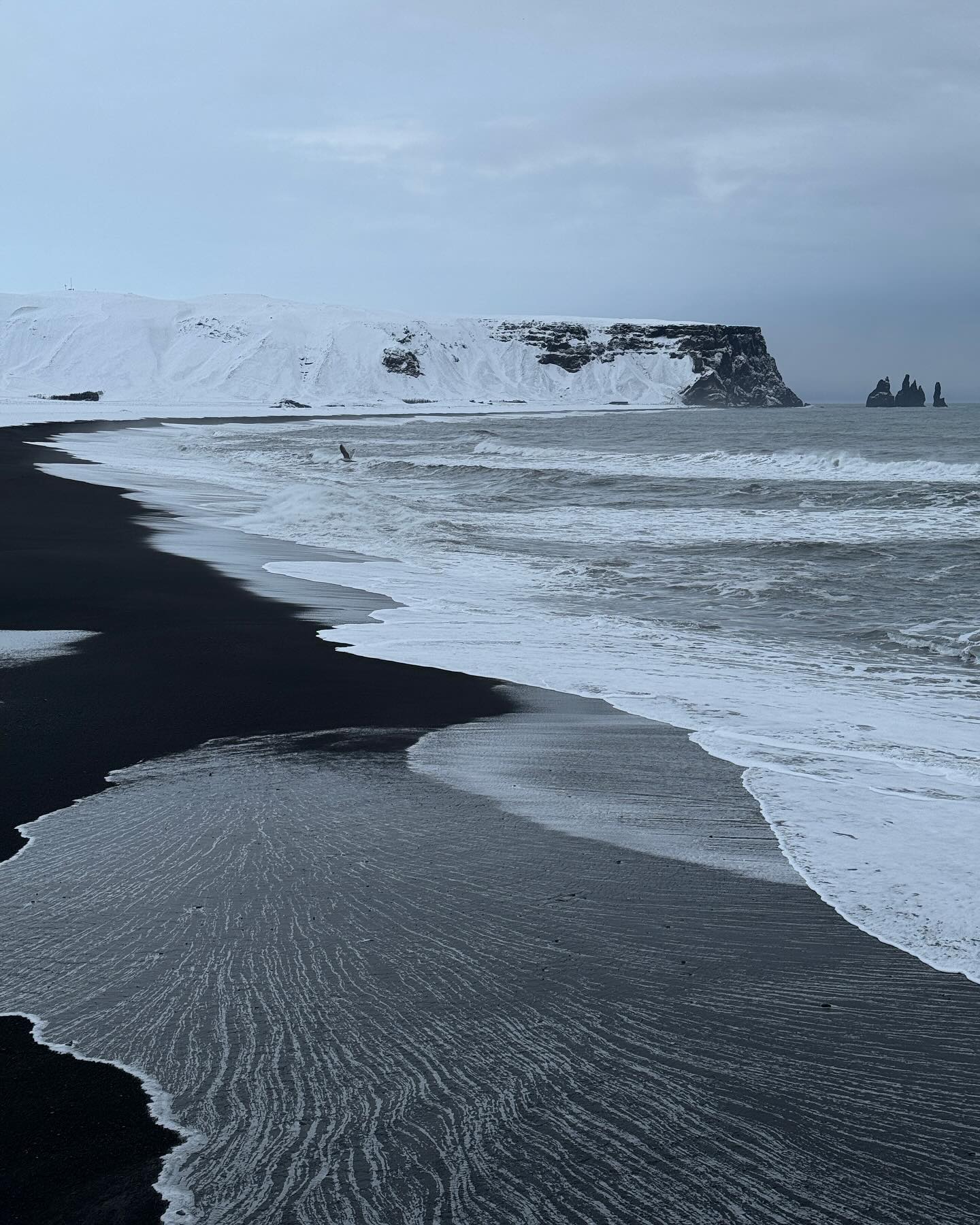 아이슬란드🇮🇸
블랙비치 ’디르홀레이‘
눈으로 보면 수묵화처럼 온통 검정색과 회색빛이다. 암울해보일 수 있지만 웅장하고 광활하다. ⚫️🌊

#블랙비치 #디르홀레이 #아이슬란드 #dyrholaey #blackbeach
