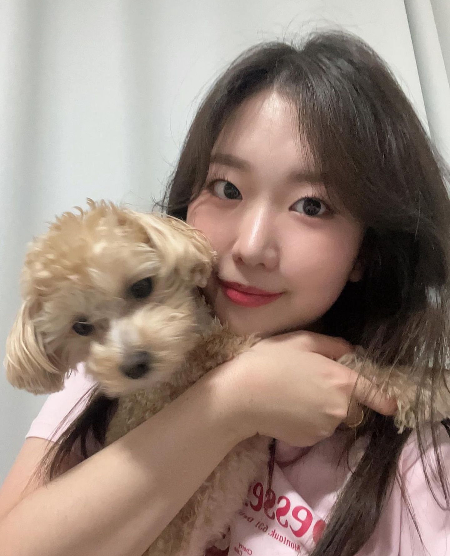 작년에 엄마랑 찍은 사진 🎞️🫧

#작은강아지 #견주 #갱얼쥐 #귀여운강아지 #강아지짤 #견주소통 
#댕팔맞팔 #멍팔환영 #애견소통 #강아지일상 #강아지스타그램